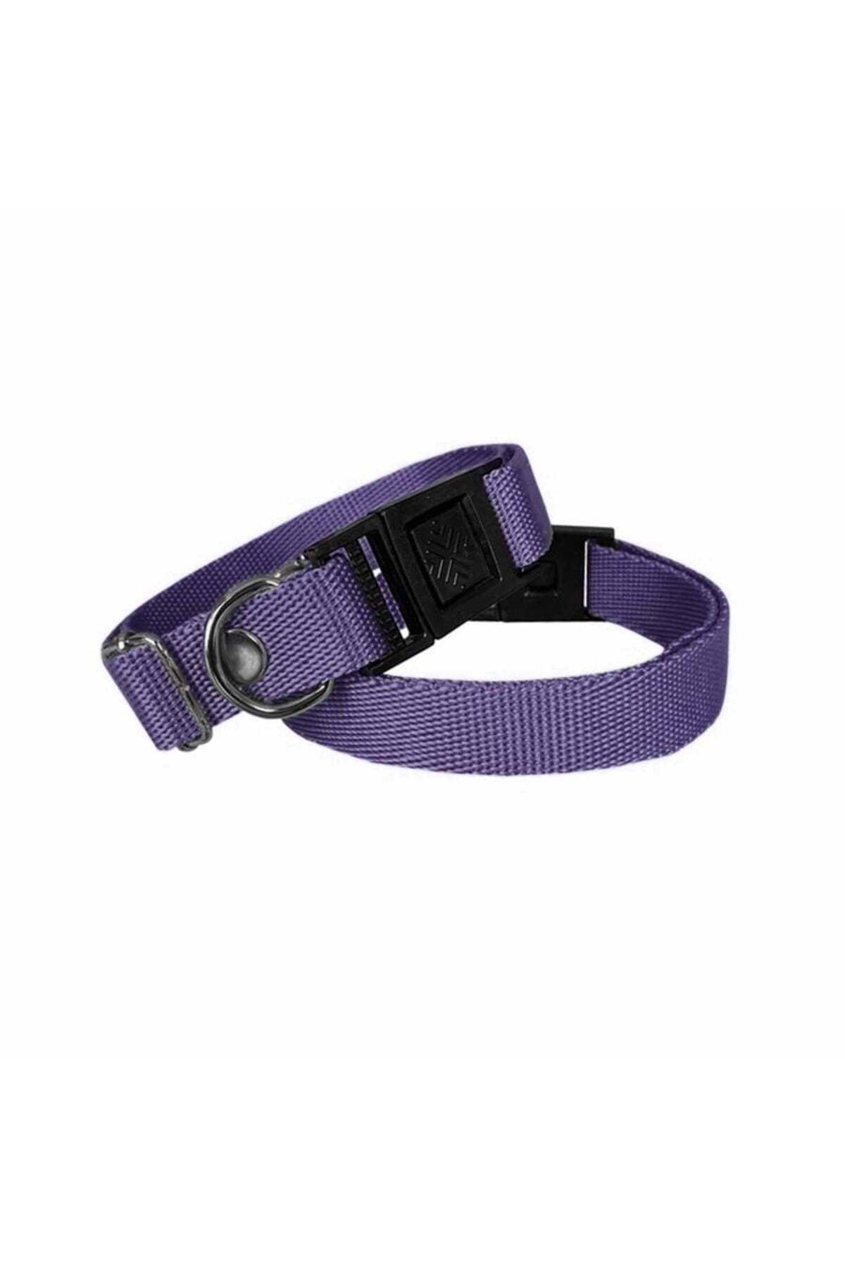 Zayla Köpek Tasması Dokuma 2 cm - Min: 30 cm - Max: 50 cm Mor