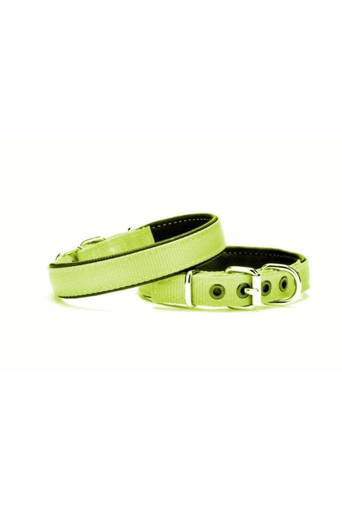 Zayla Yumuşak Doku Köpek Boyun Tasması 2/45 cm Yeşil