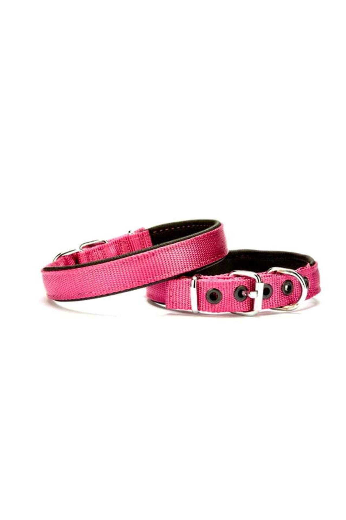 Zayla Softlu Köpek Boyun Tasması 2 cm x 40 cm Mor