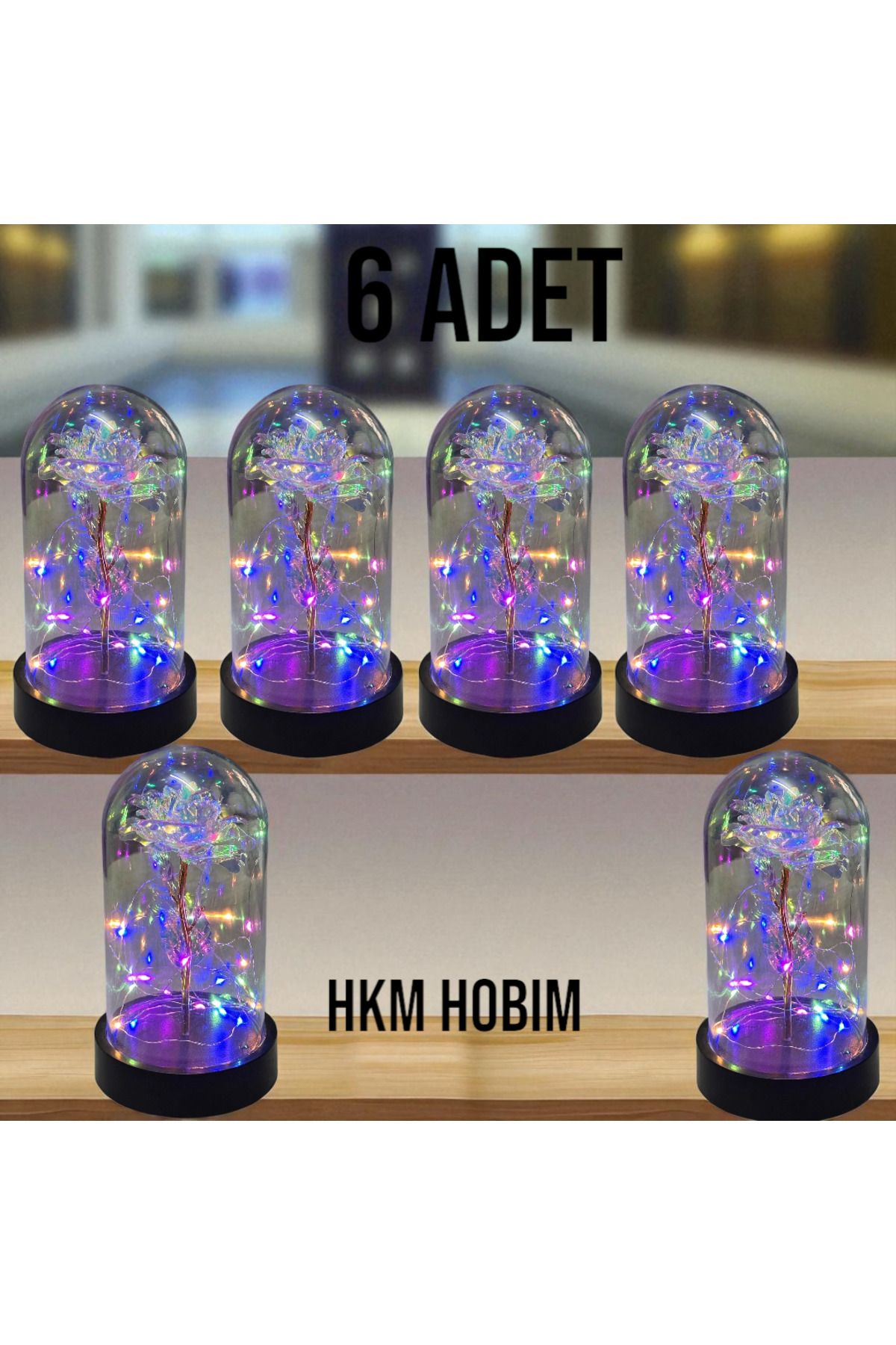 HKM Hobim Solmayan Gül Fanus – RGB Işıklı Galaxy Lamba | Hediye & Dekoratif Gece Lambası 6 ADET