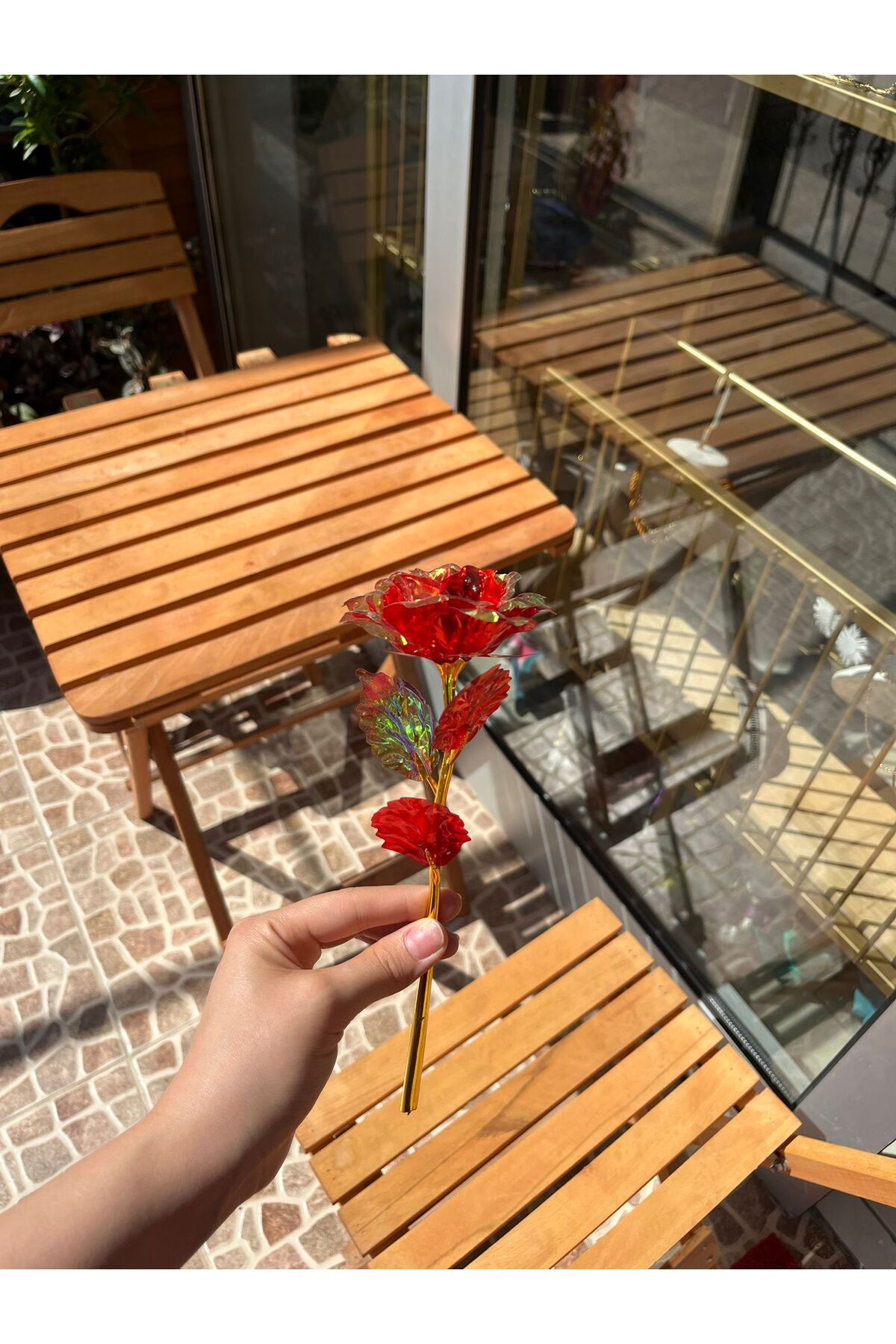 Doras Shine Renkli Sonsuzluk Çiçeği