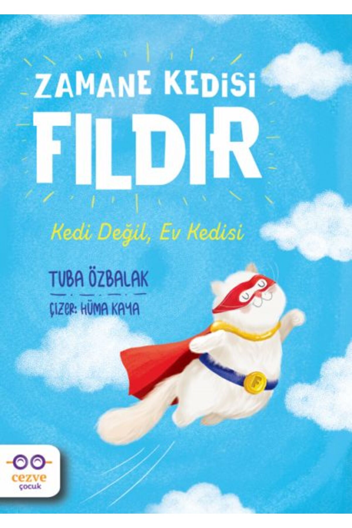 Cezve Çocuk Zamane Kedisi Fıldır - Kedi Değil, Ev Kedisi