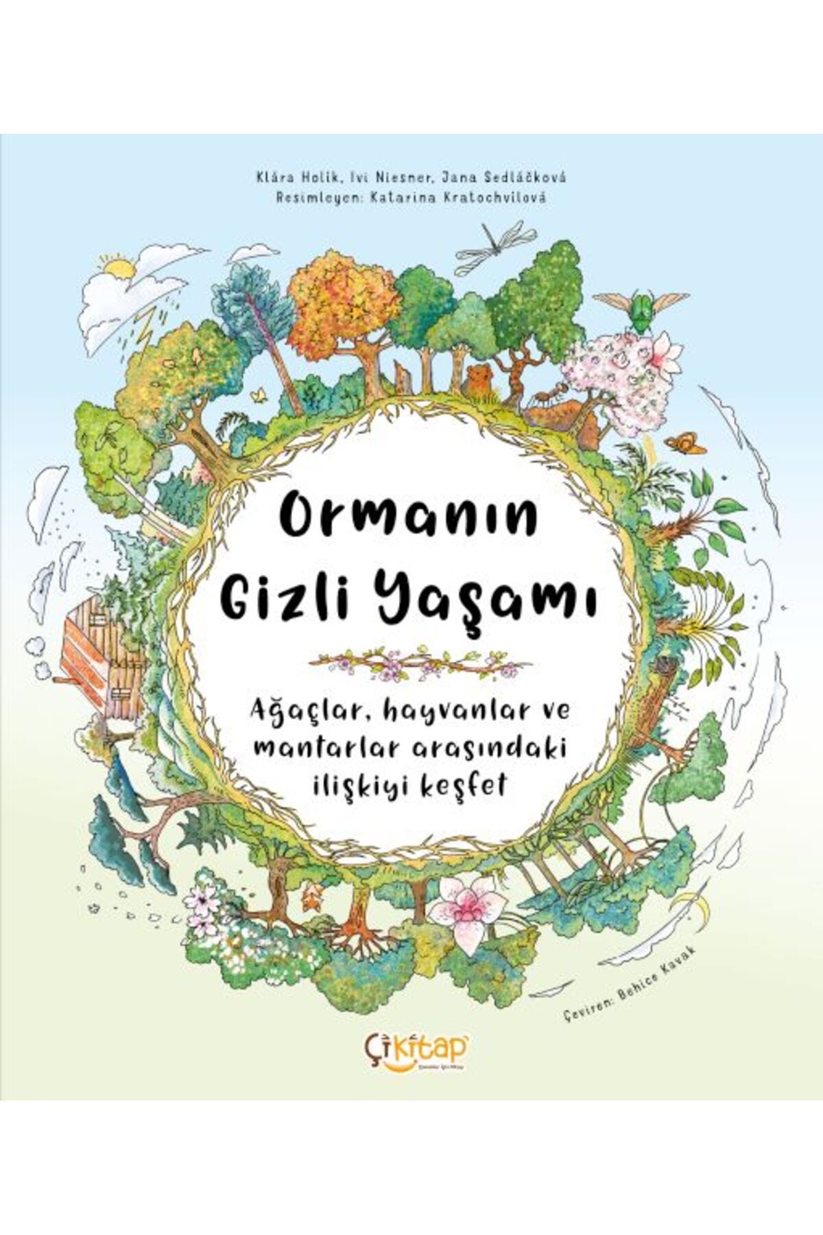 Destek Yayınları Ormanın Gizli Yaşamı