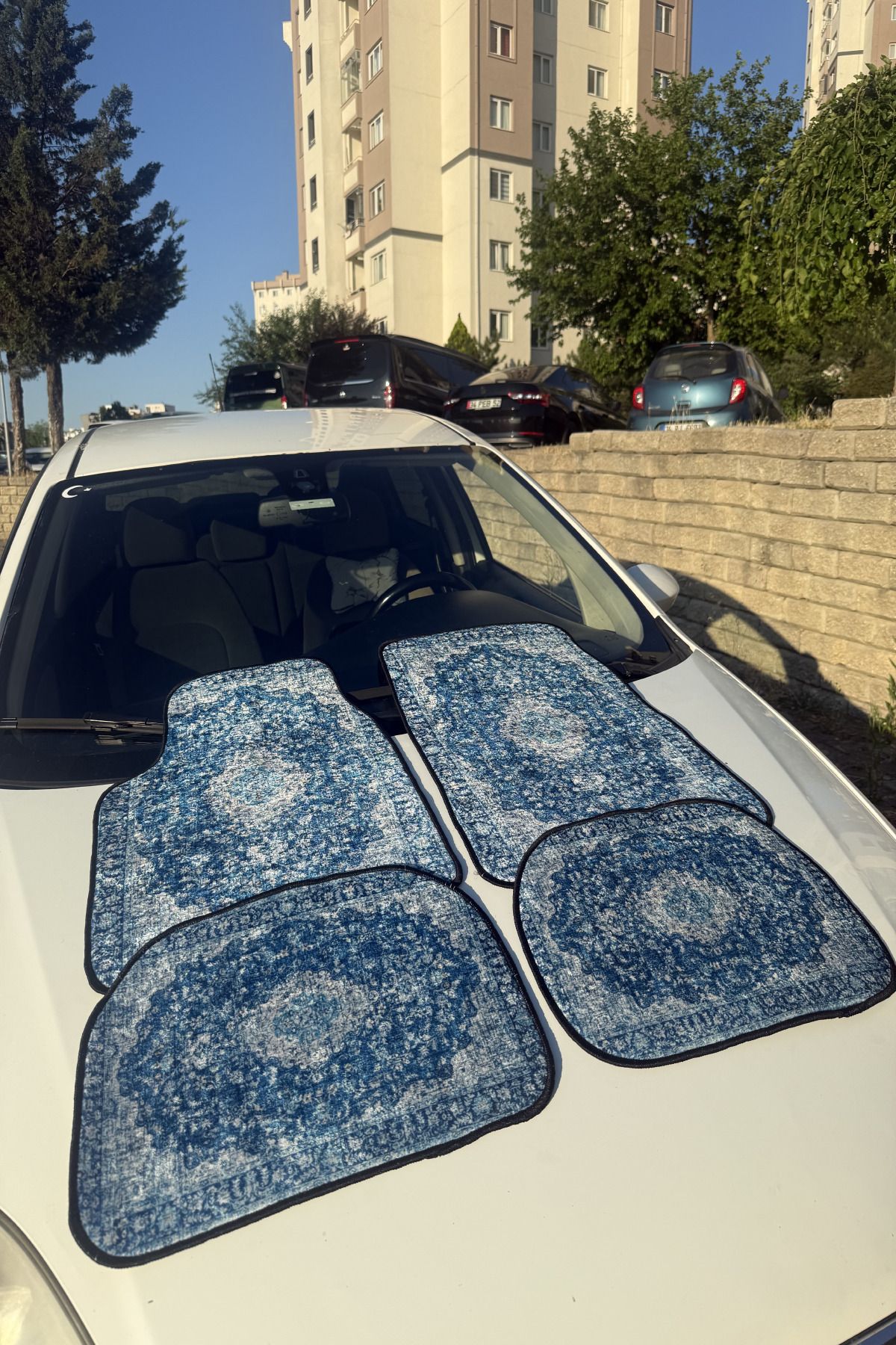 Carpetilla Dijital Baskılı Halı Oto Paspas Universal Araç Paspası Yıkanabilir Desenli Otopaspas