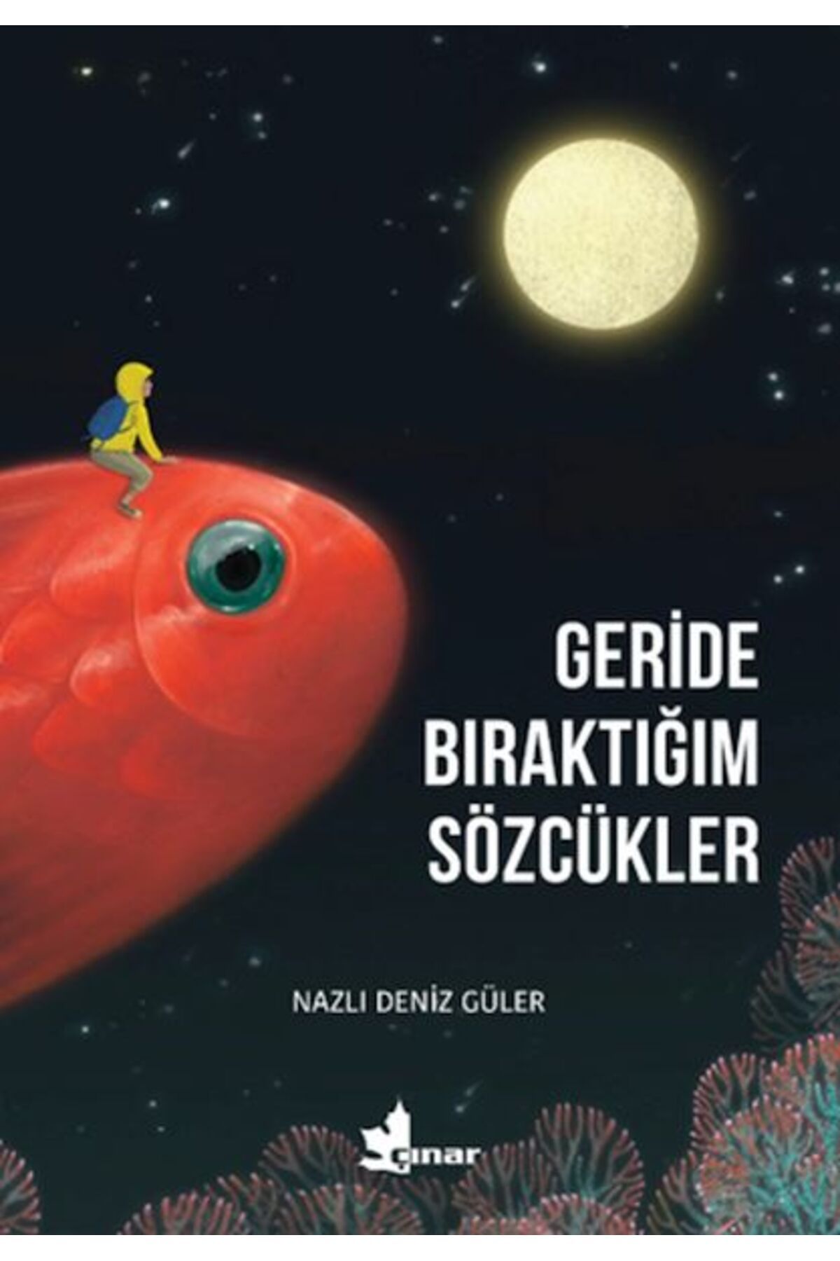 Çınar Yayınları Geride Bıraktığım Sözcükler