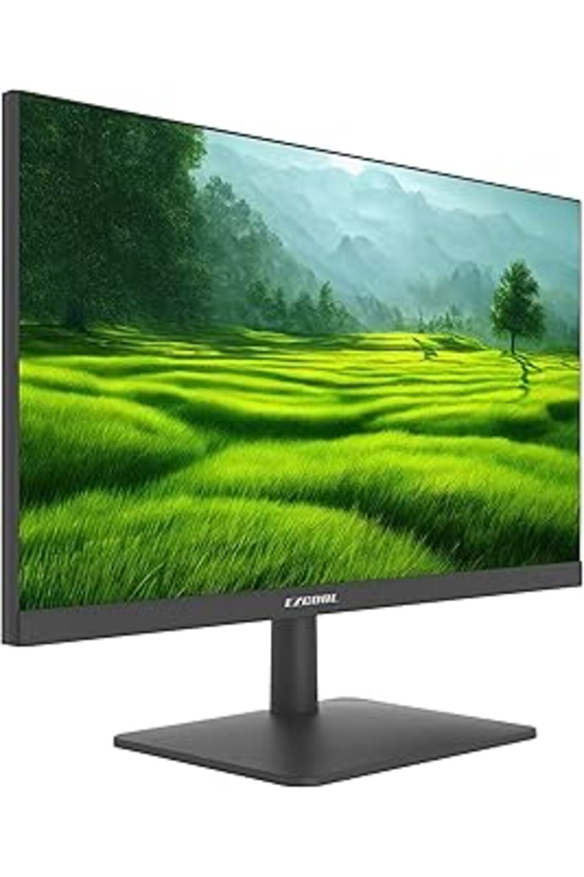NETWORK ART Ezcool 21.5 Corp Ezc22 100Hz 5Ms Monitor