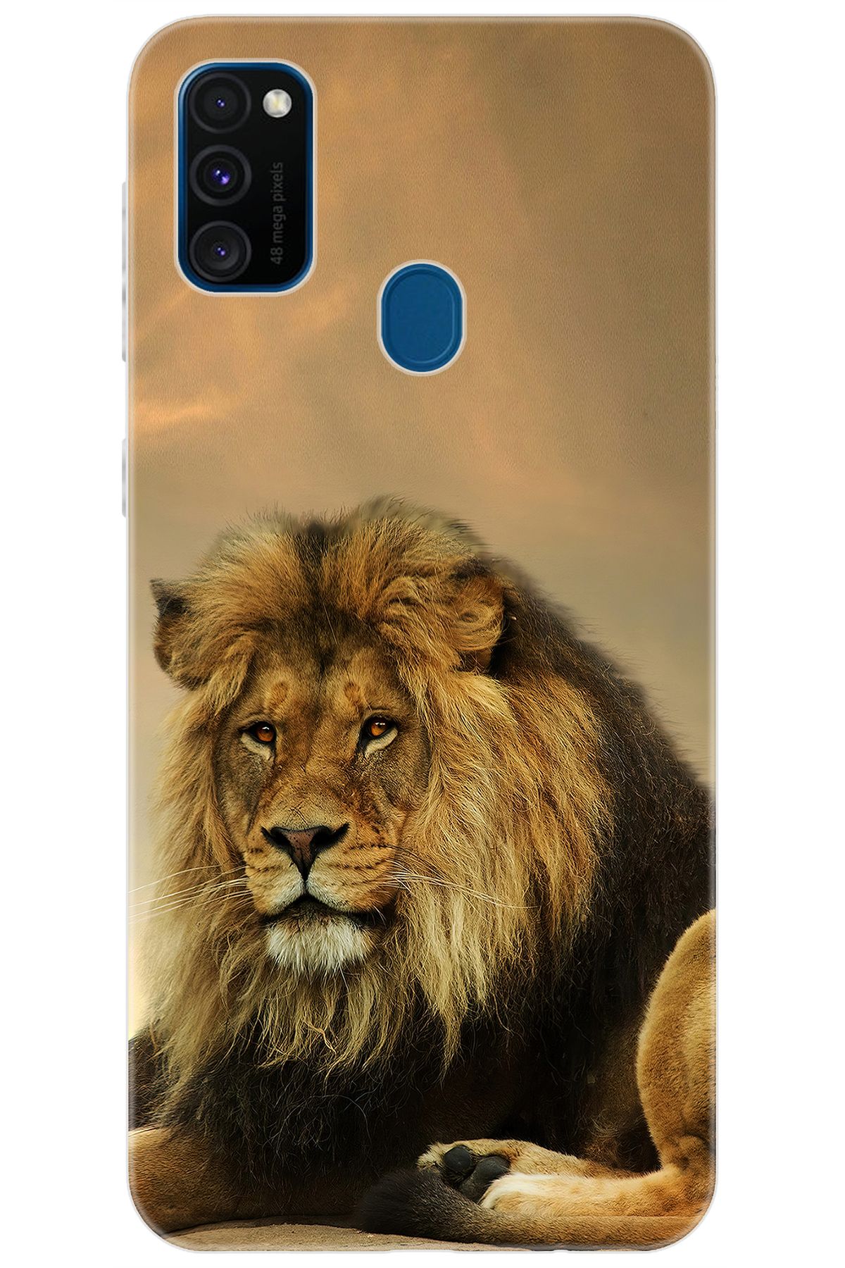 Ceppare Samsung Galaxy M30S (SM-M307F) Uyumlu Kılıf Desen Baskılı Silikon Kral Aslan STK:207 CP-wYVLbYd