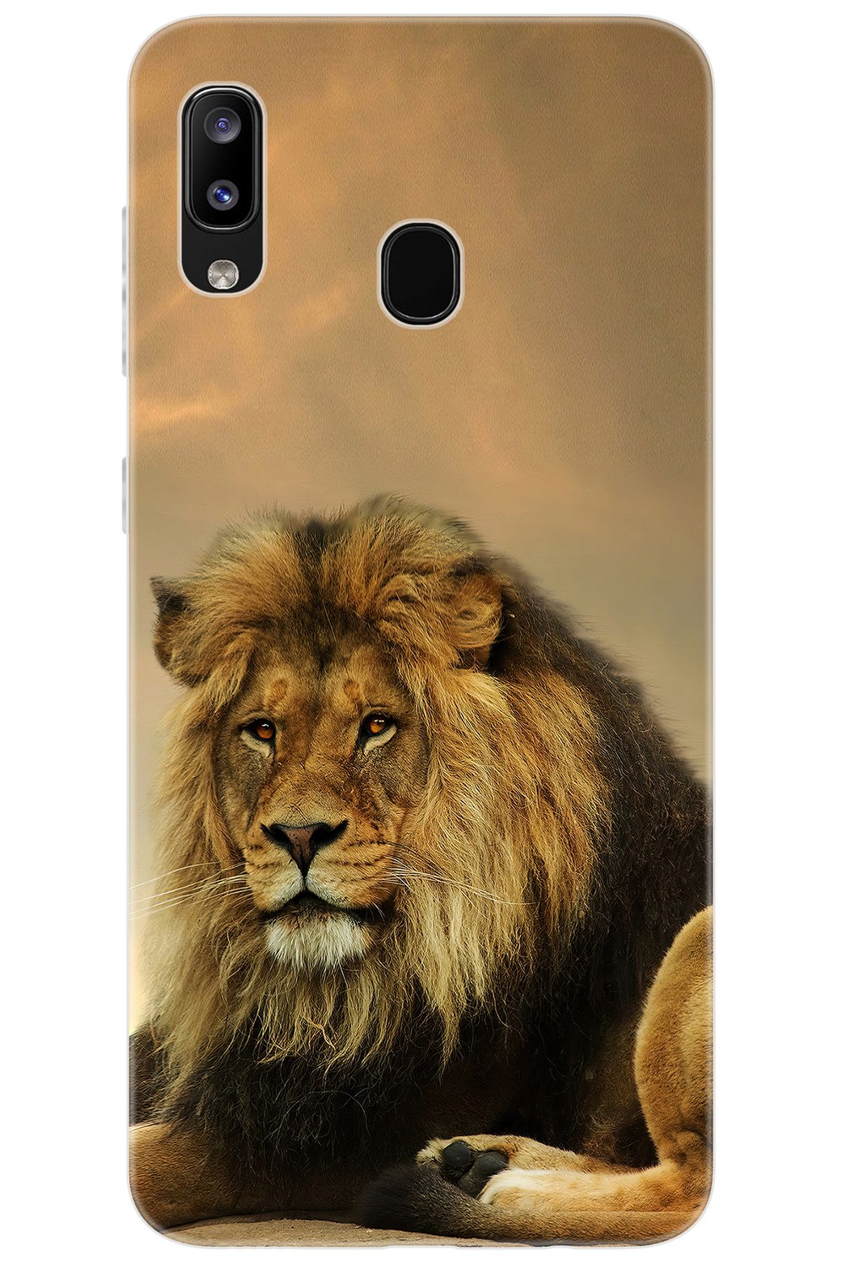 Ceppare Samsung Galaxy M10S (SM-M107F) Uyumlu Kılıf Desen Baskılı Silikon Kral Aslan STK:207 CP-BiRAkzM