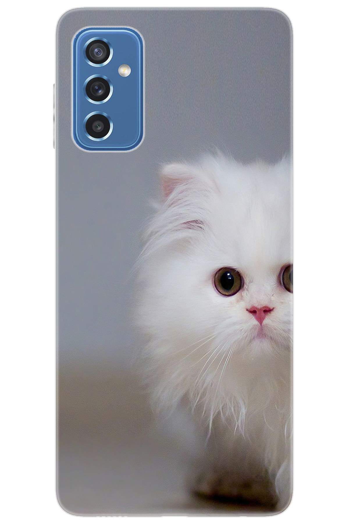 Ceppare Samsung Galaxy M52 (SM-M526B) Uyumlu Kılıf Desen Baskılı Silikon Beyaz Kedi STK:139 CP-gUCjZX7