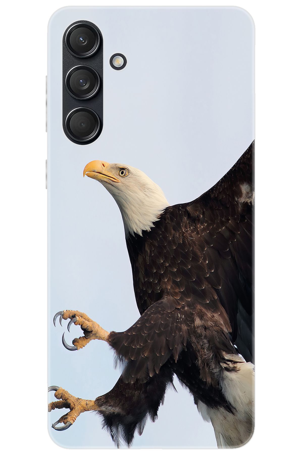 Ceppare Samsung Galaxy M55 (SM-M556B) Uyumlu Kılıf Desen Baskılı Silikon Kartal STK:189 CP-XgqPGNz
