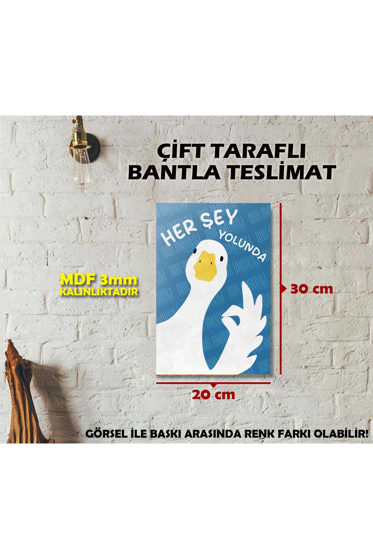 Borambalaj Ördek Motivasyon Yazılı MDF Tablo 20x30 cm