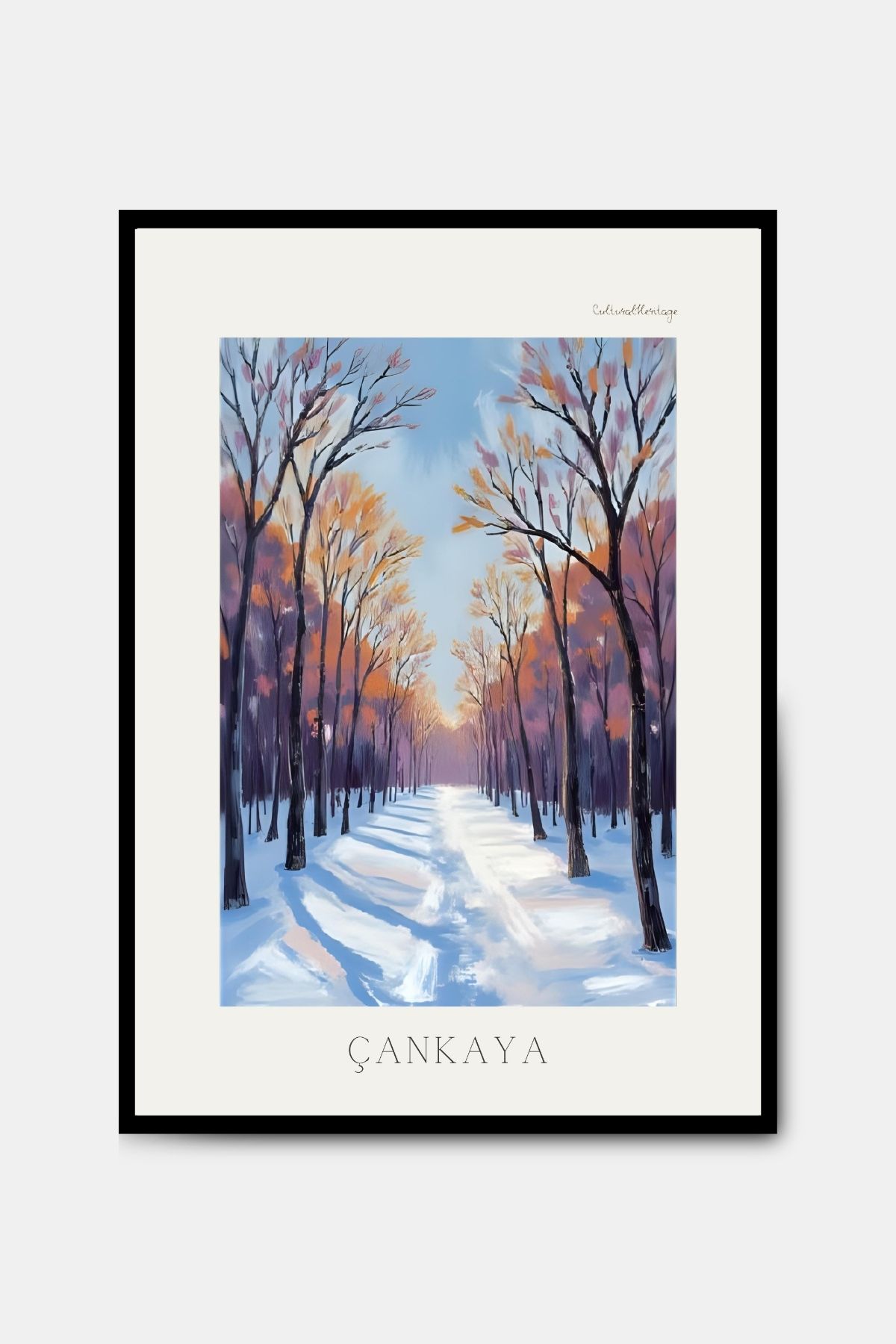 PİTAYA Ankara Çankaya Poster - Çerçevesiz Tasarım Poster Yağlı Boya Tablo Duvar Dekorasyonu
