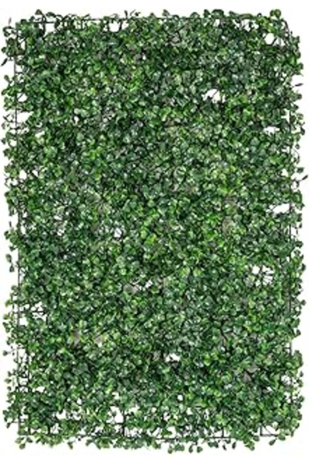 Roses Store Herdekora Yapay Bitki Duvar Dekor Yonca Tabaka 40X60 Cm.