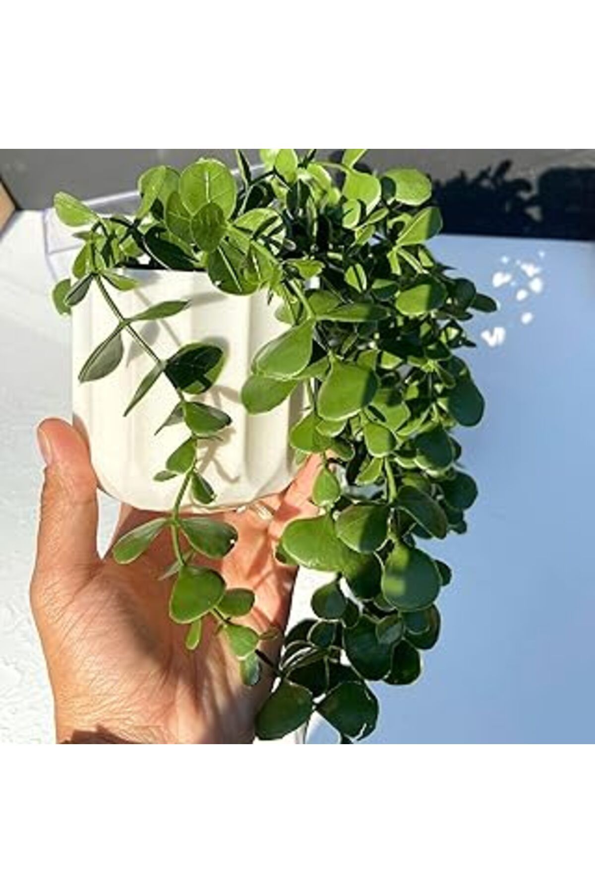 Roses Store Xesha Yapay Çiçek Saksıda Koyu Yeşil Okaliptus Sarkıt Ev Dekor Süs Bitkisi