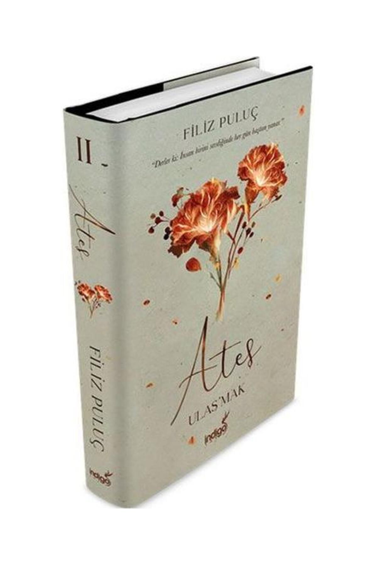 İndigo Kitap Ateş Ulaş'mak