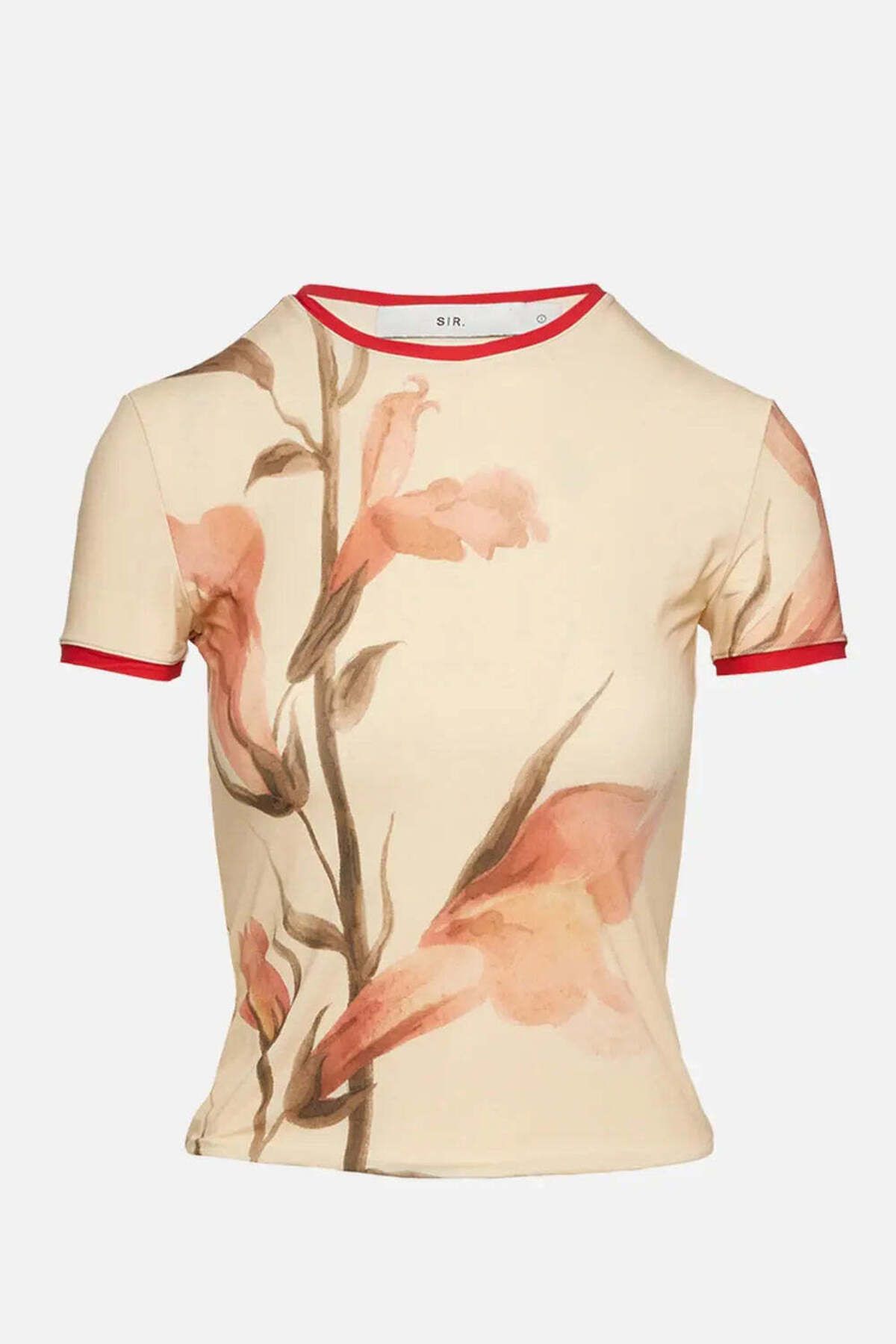 American Rag Cie Kadınlar için Çok Renkli Hana T-Shirt - Rahat ve Şık Seçenek