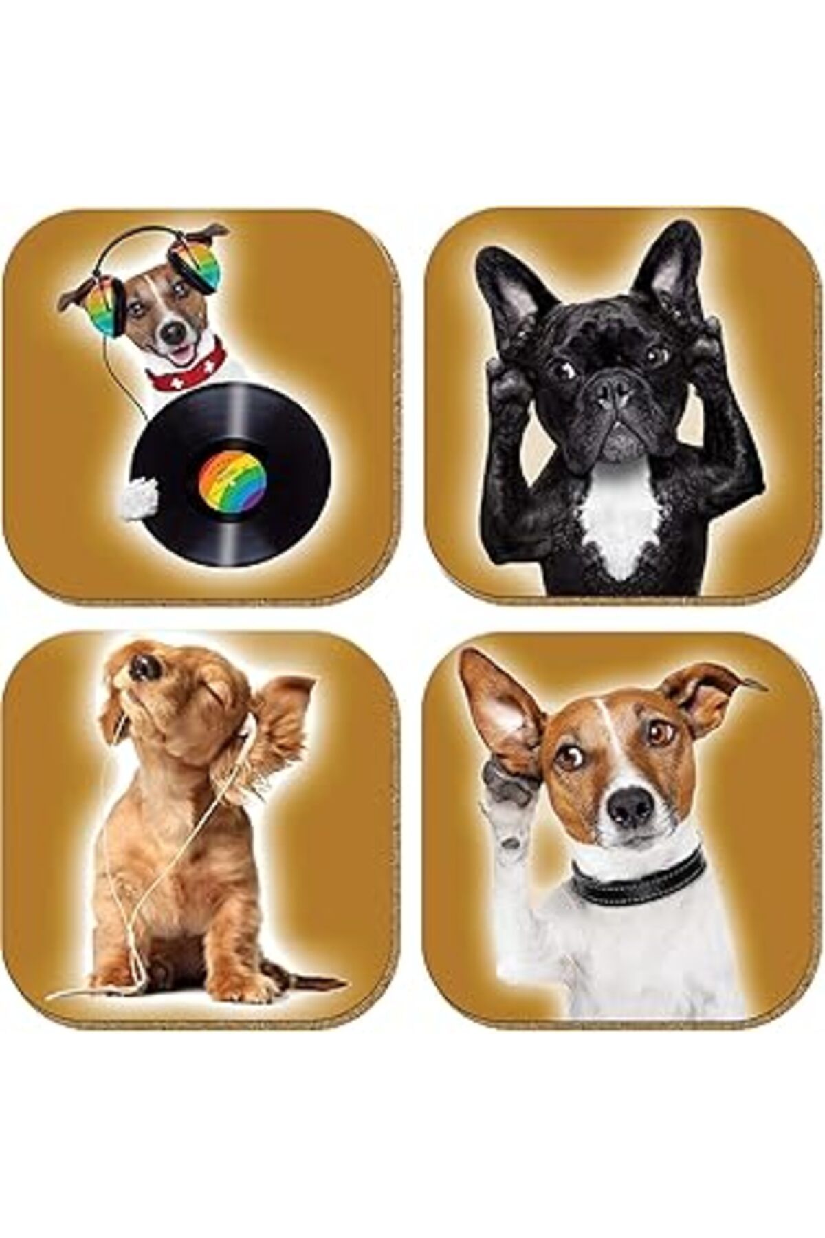 ASİTAN Pictor Gift Hediyelik Metal Mantar Tabanlı Jam Session Köpekli 4'Lü Bardak Altlığı Seti