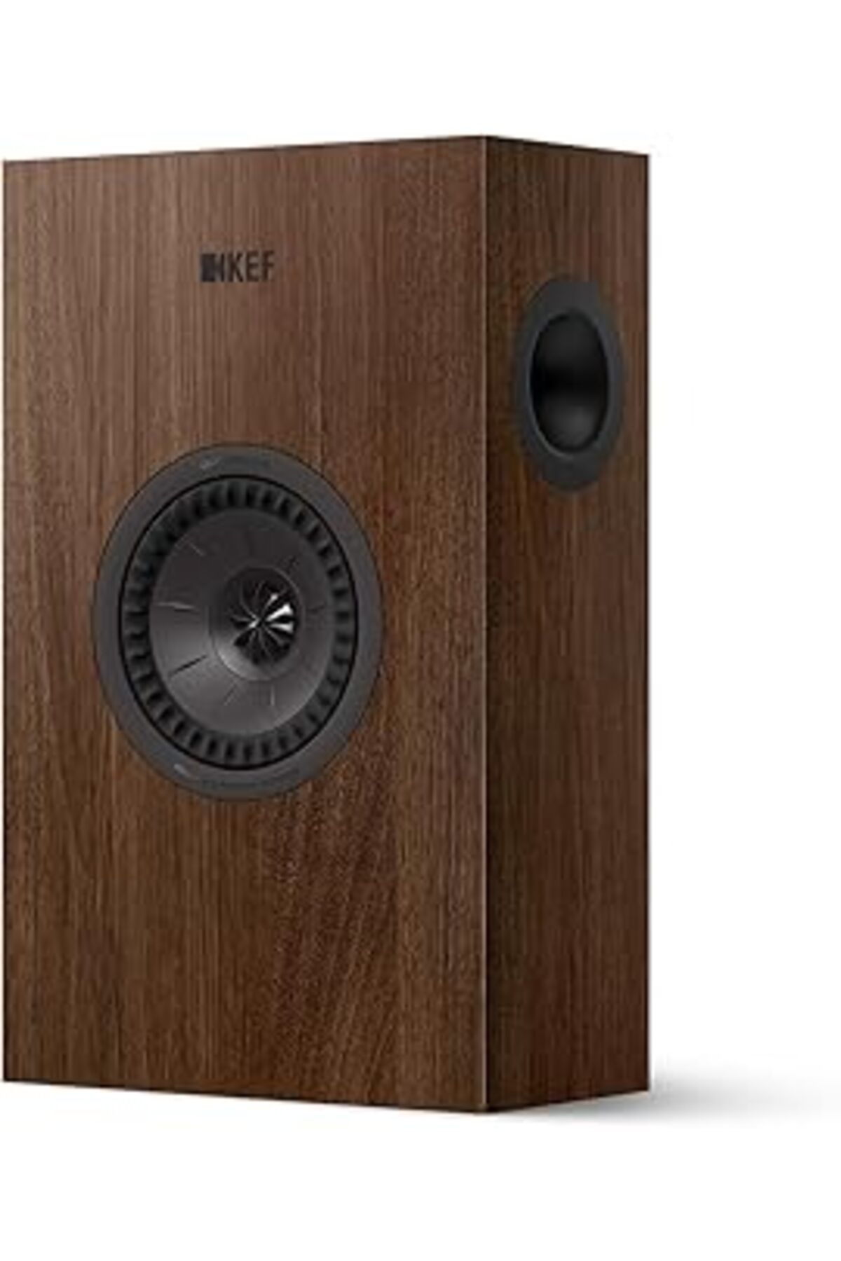 ASİTAN Kef Q4 Meta On Wall Ceviz