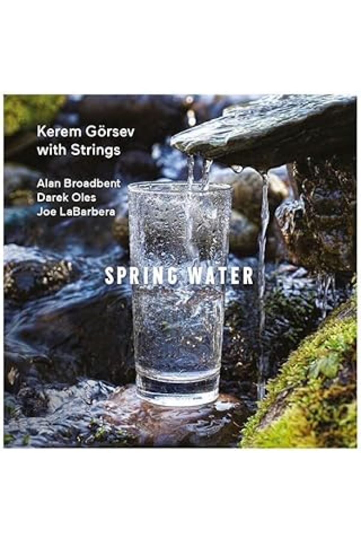 NETWORK ART Gereksiz Şeyler Kerem Görsev Spring Water Plak