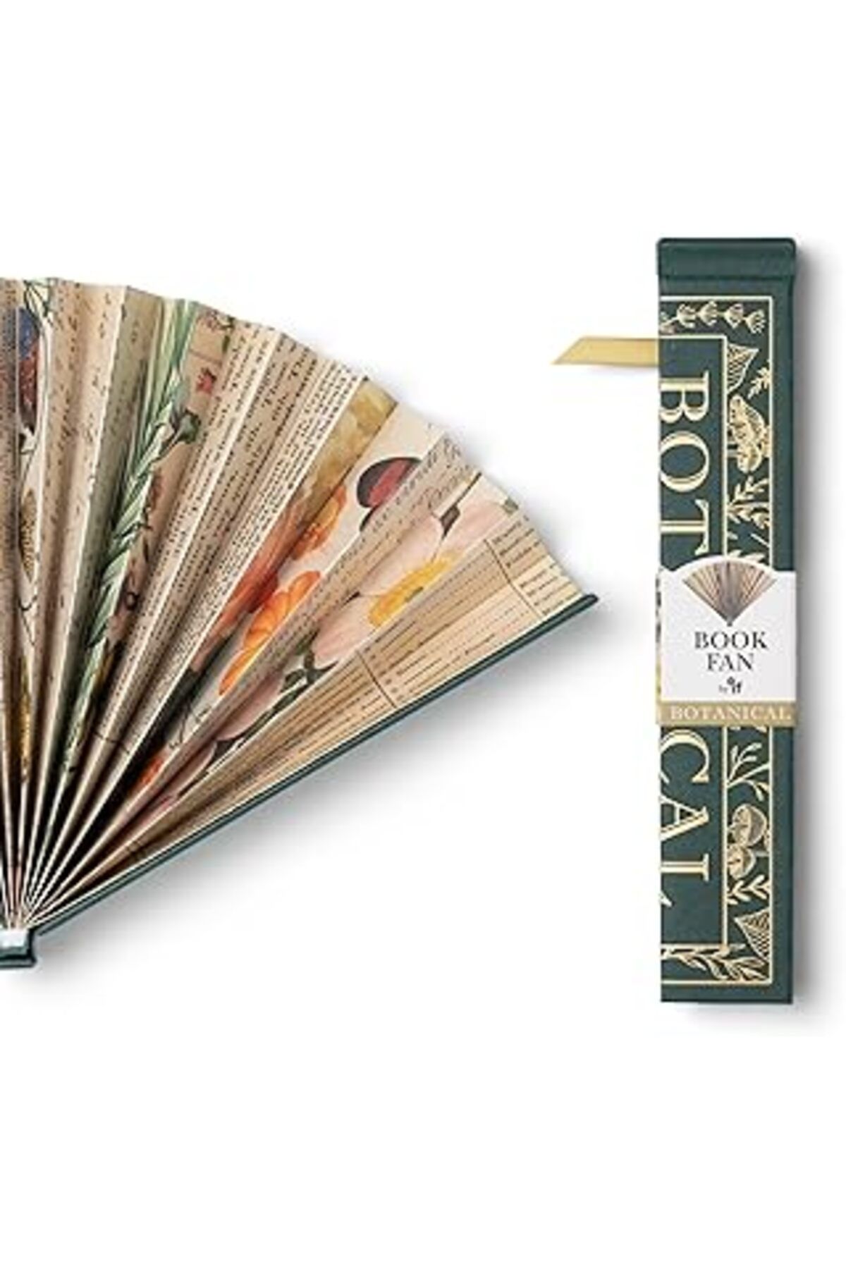 Pazarcan If Kitap Şeklinde Yelpaze Botanical