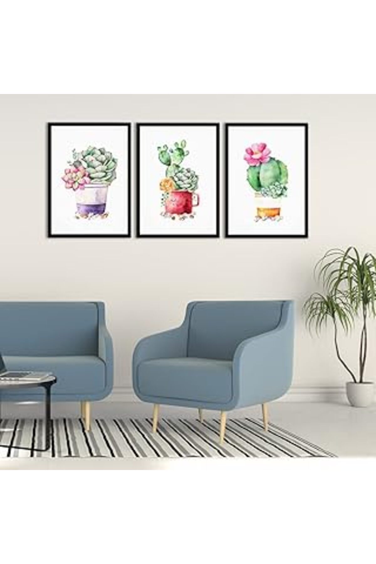 Mu Art Ahşap Tabloshop Sukulent Teraryum Çerçeveli Set 35 X 45Cm (3 Adet)