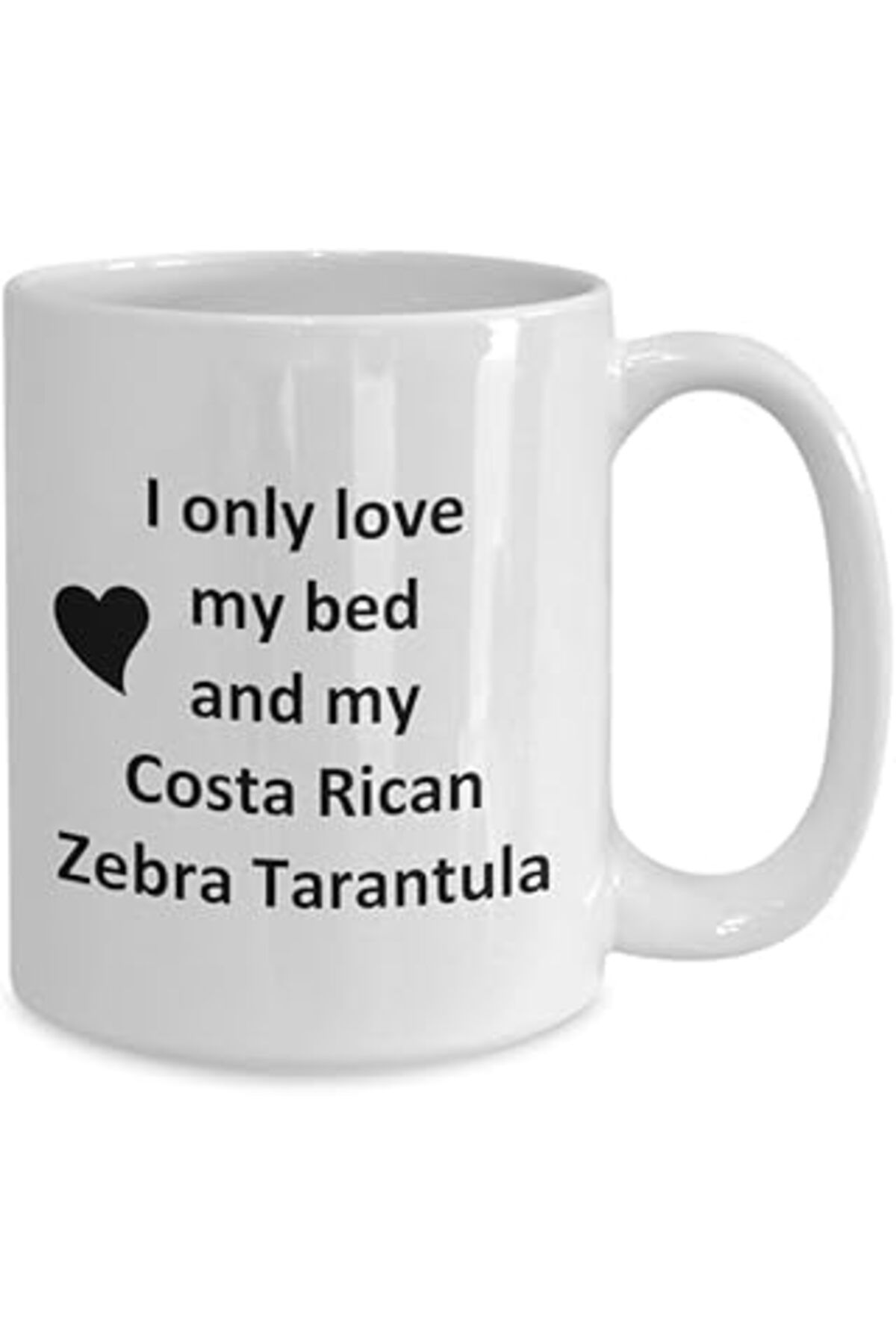 ASİTAN Print Dore Kosta Rika Zebra Tarantula Lover Kupa - Örümcek Hayvan - Love My Costa Rican Z- Ingilizc