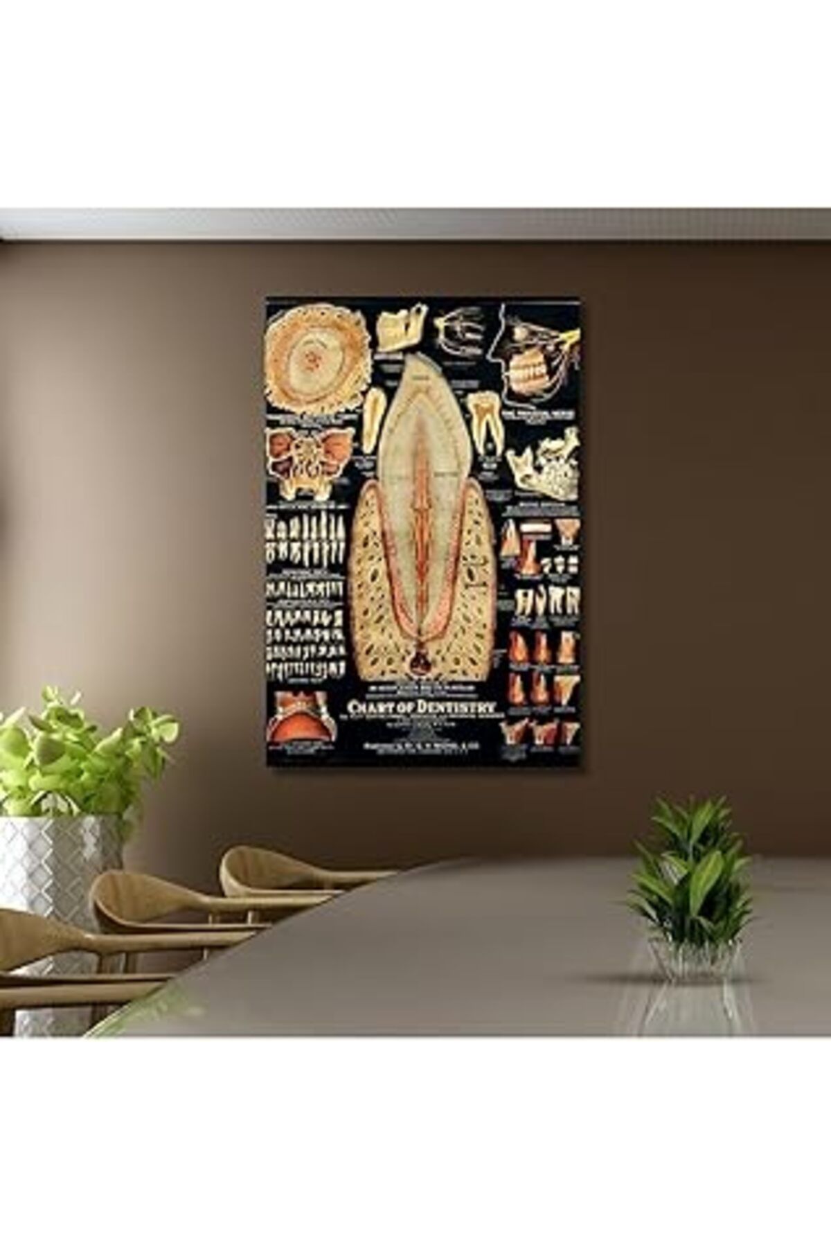 Pazarcan Gaagart Tekli Dikey Kanvas Diş Poliklinik Tablosu Diş Yapısı Poster, 30 X 40