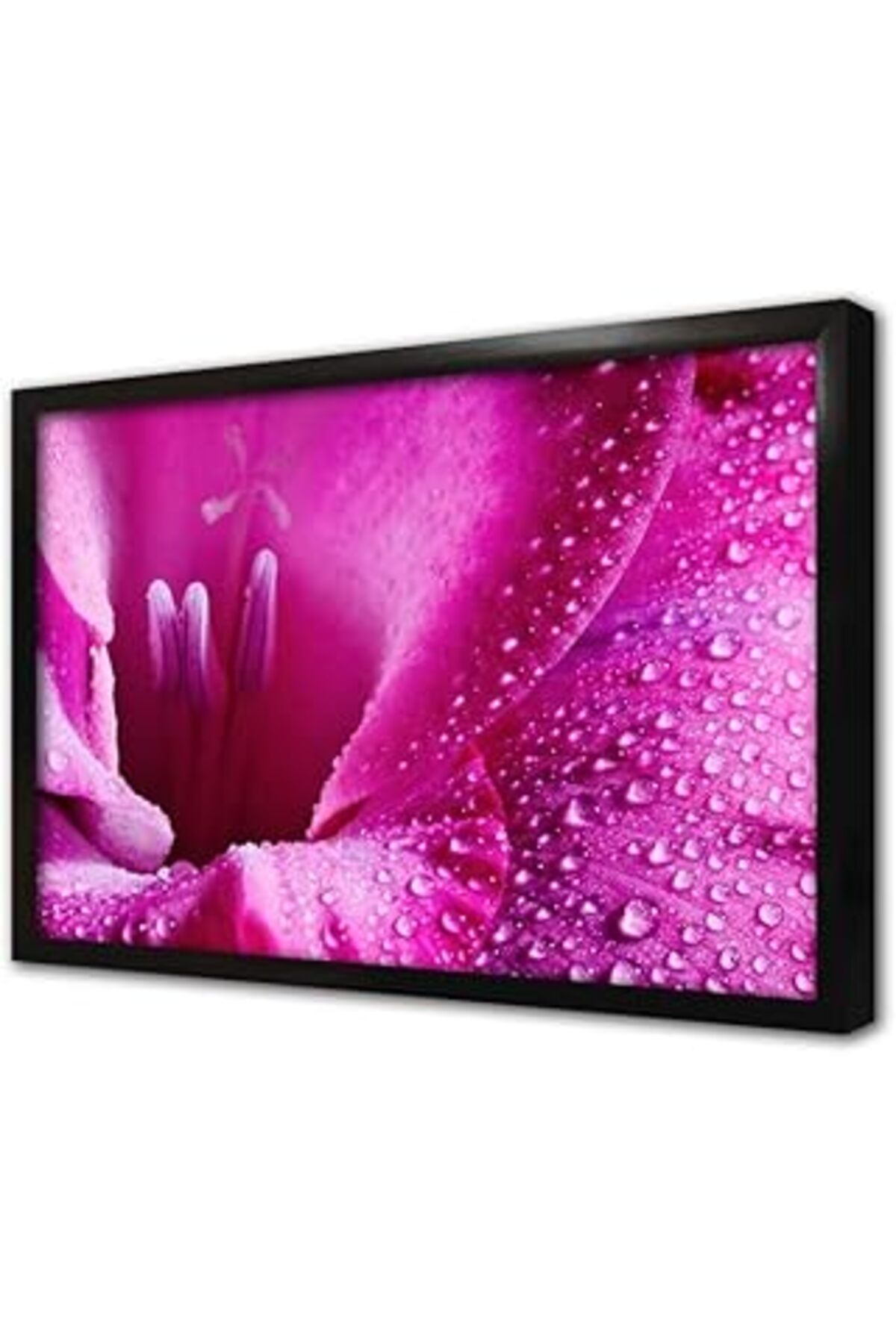 Pazarcan Pembe Çiçek Makro Çerçeveli Cam Tablo 30X40 Cm Ca03522