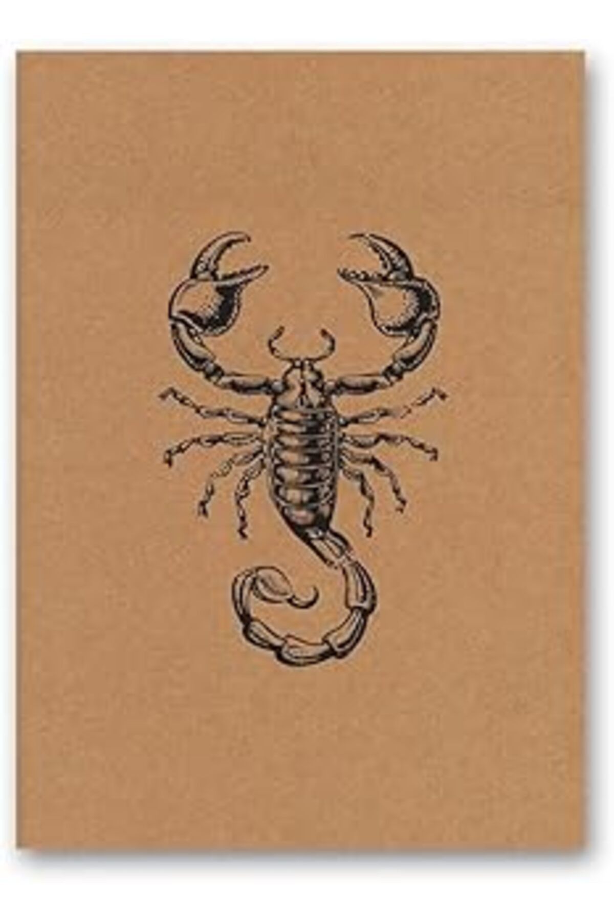 Pazarcan Le Color Kraft Defter Düz Akrep