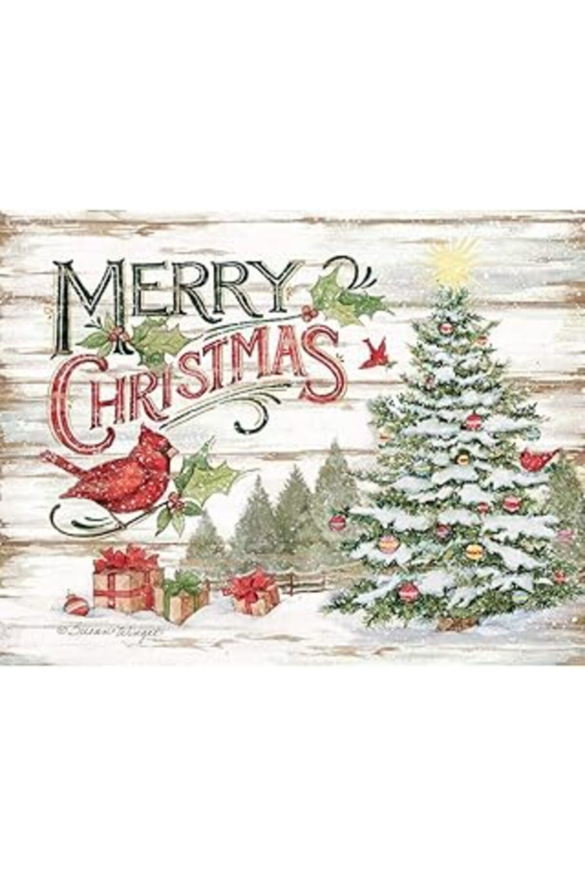 ASİTAN Lang Çam Ormanı Kutulu Noel Kartları (1004866)