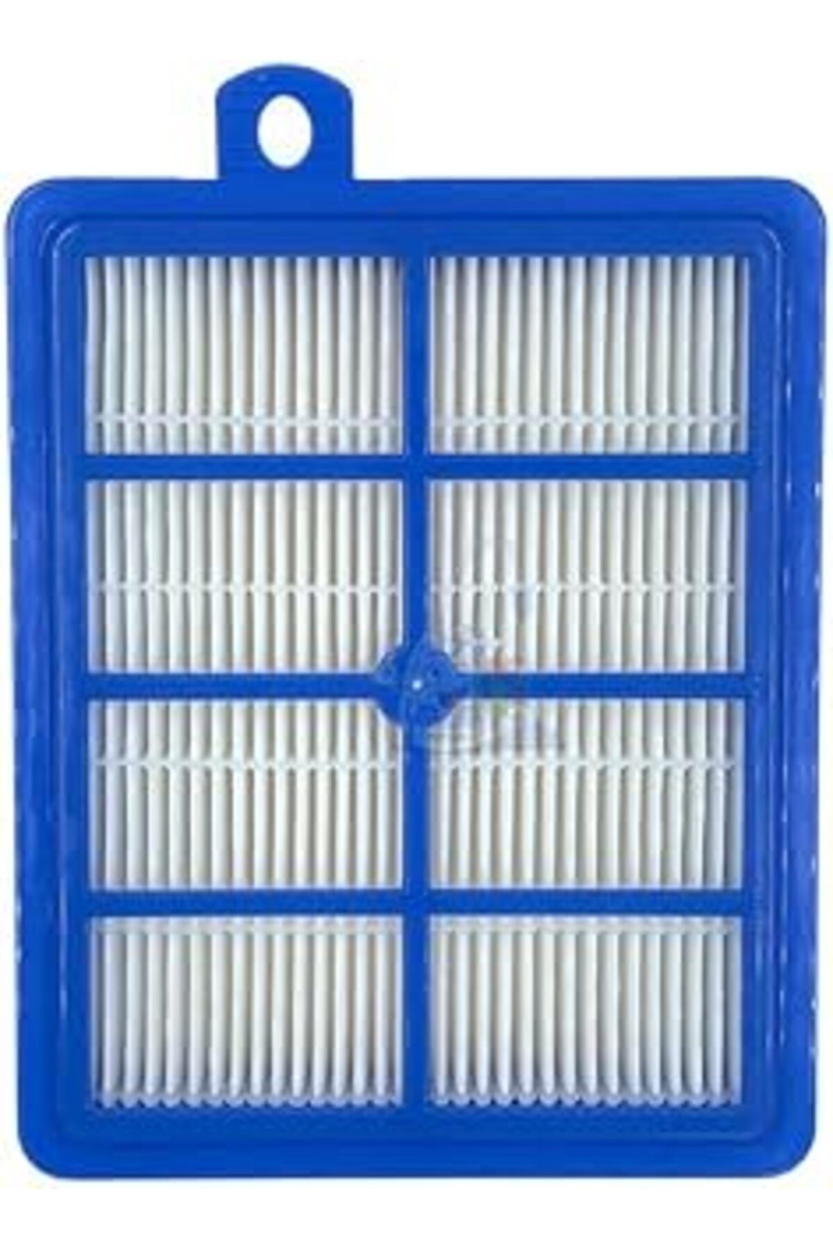 ASİTAN Popüler Elektrikli Süpürge Hepa Filtre Electrolux Espc71Dbt Silent Performer Ile Uyumlu