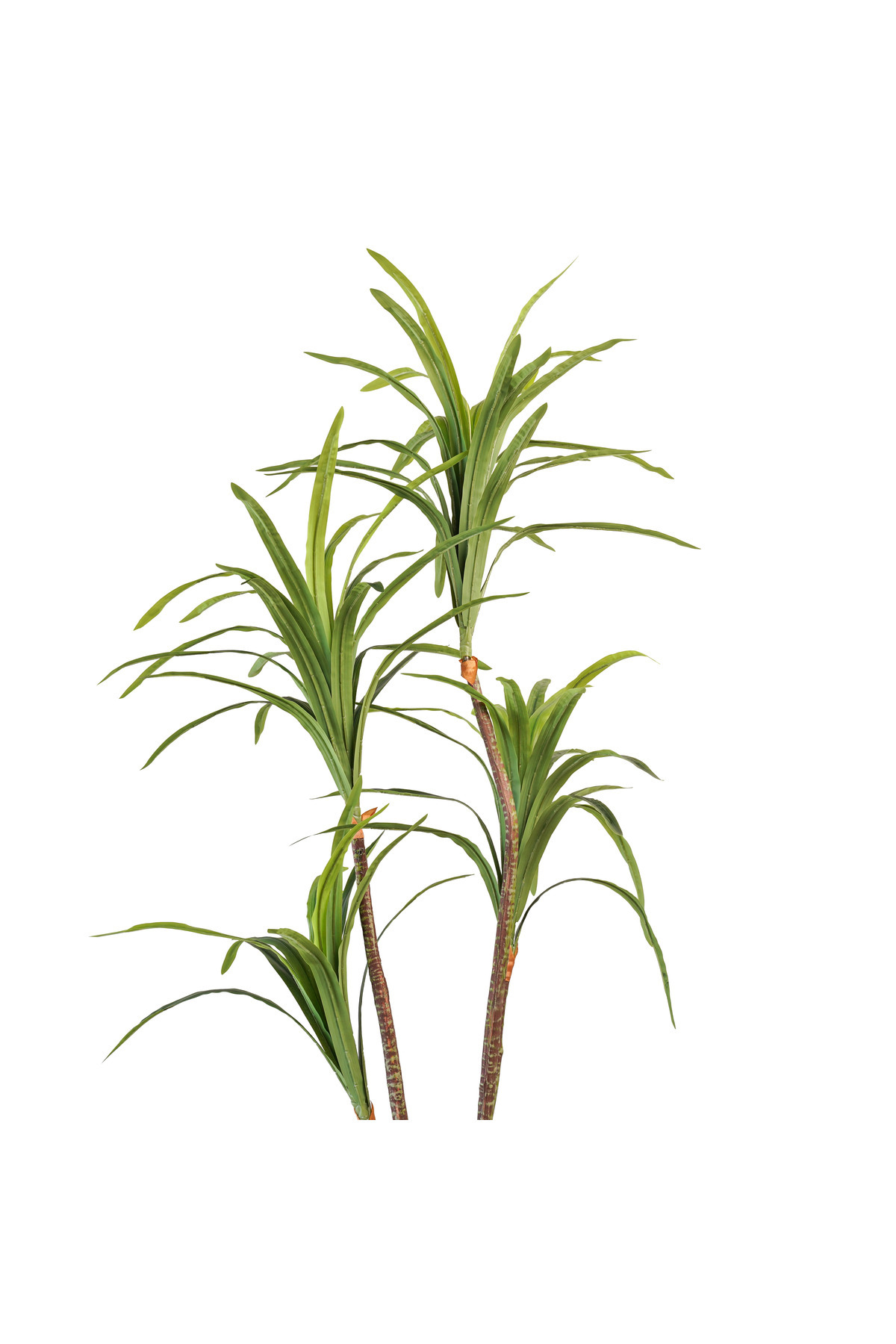 Generic-Artificial 4-branch yucca tree 2