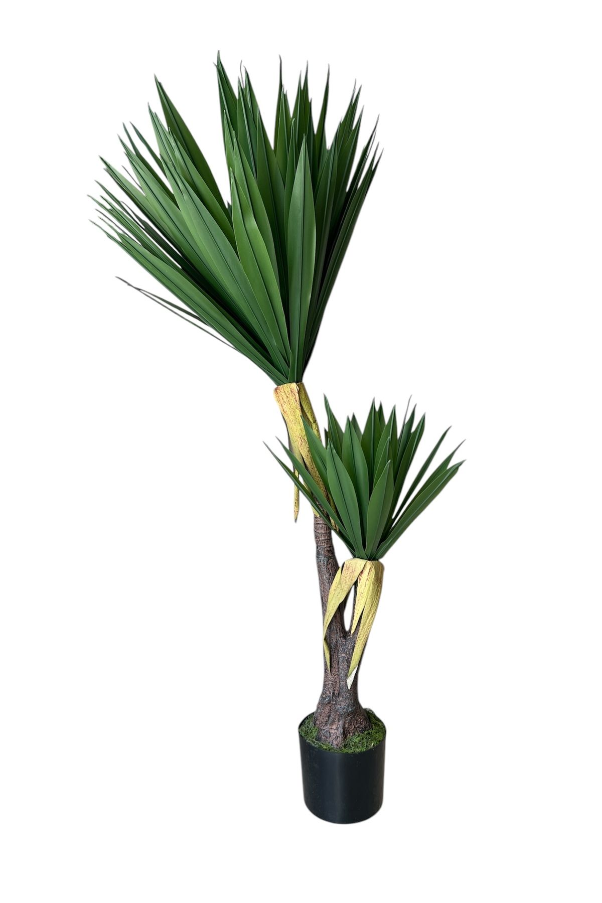 Generic-Artificial Yucca Tree 2 Branches 1.30m 1
