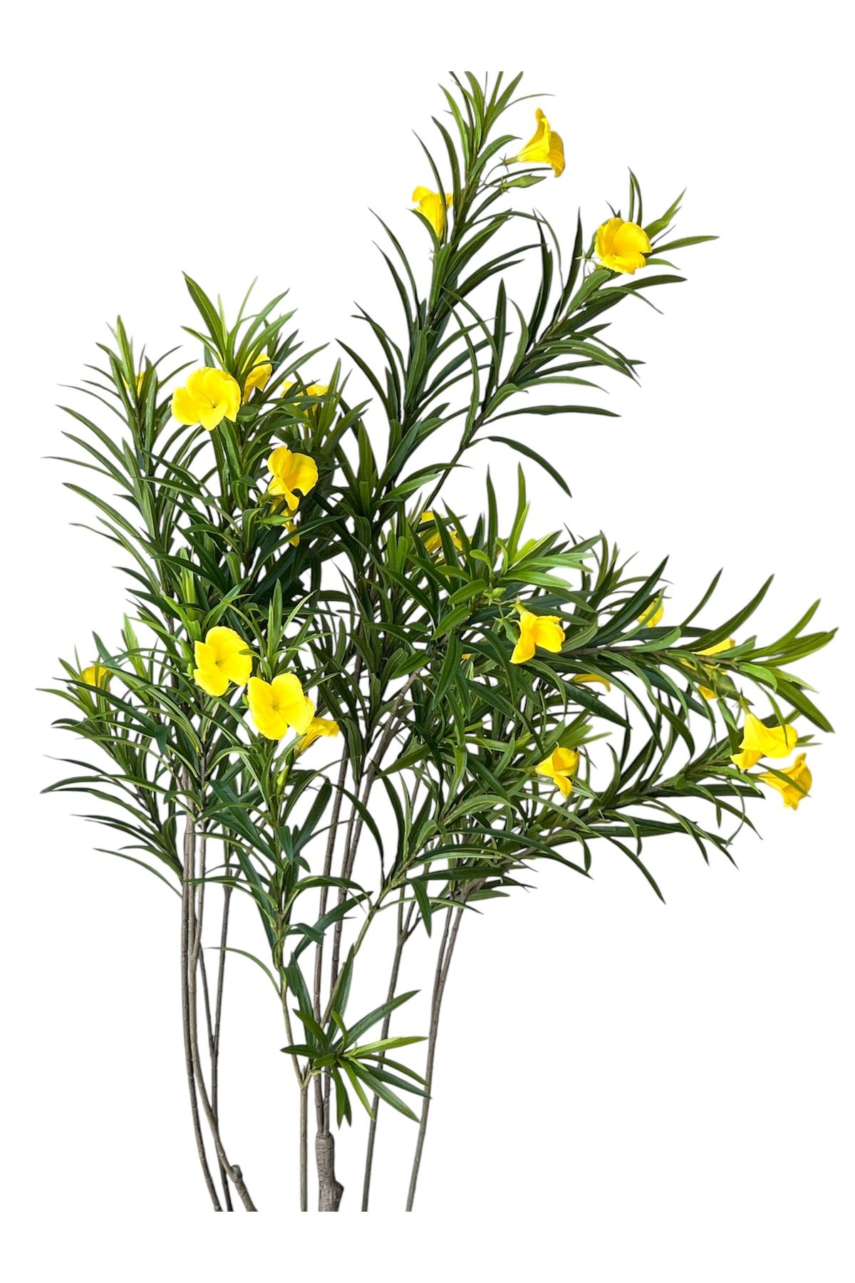Generic-Artificial yellow roly-poly tree with a real texture, height 1.85 m, width of the stand 29.5 cm 2