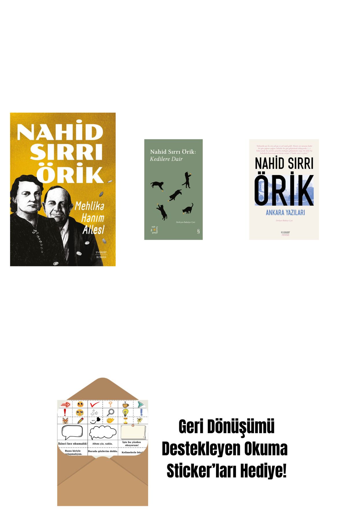 Everest Yayınları Mehlika Hanım Ailesi + Everest Açıkhava 29 - Kedilere Dair + Ankara Yazıları + Okuma Sticker'ları