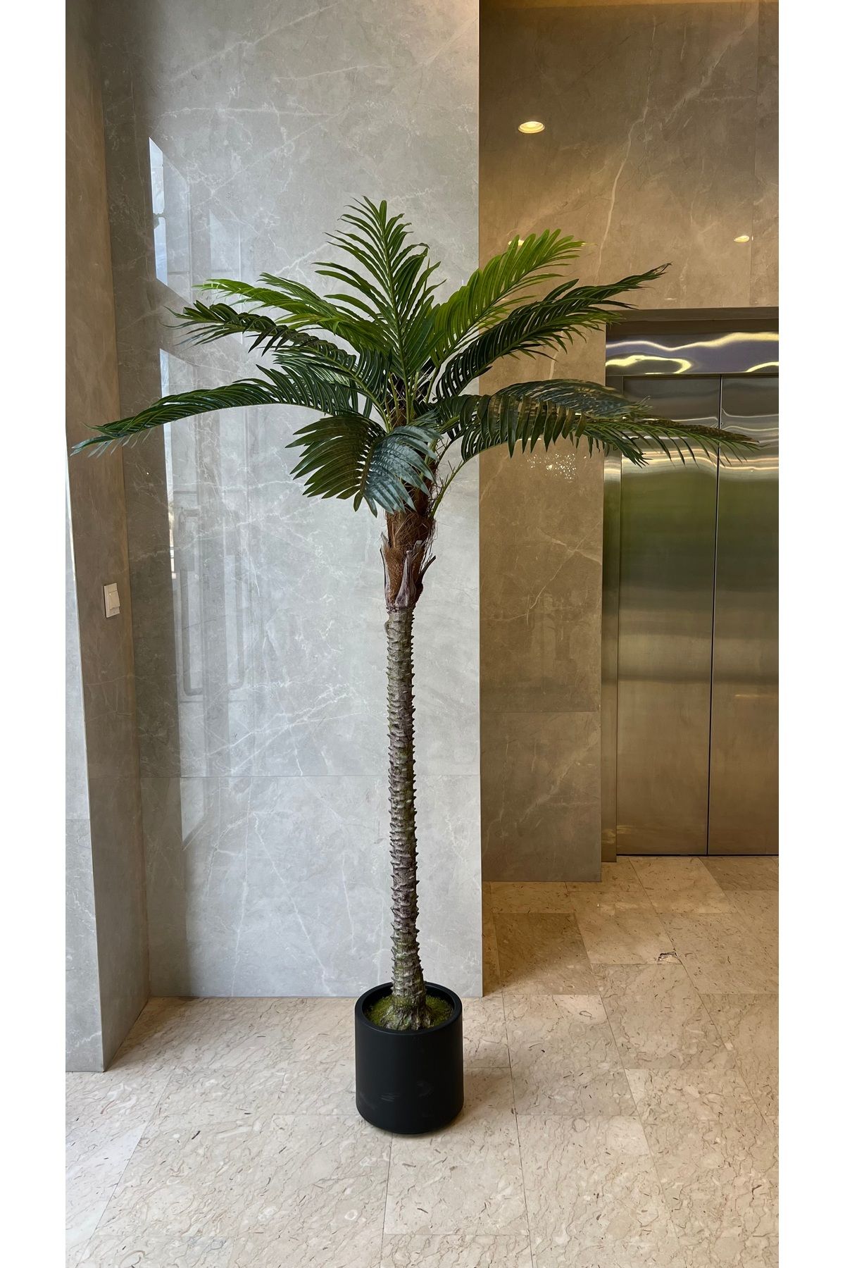 Generic-Artificial palm tree 1 x 2 m 3