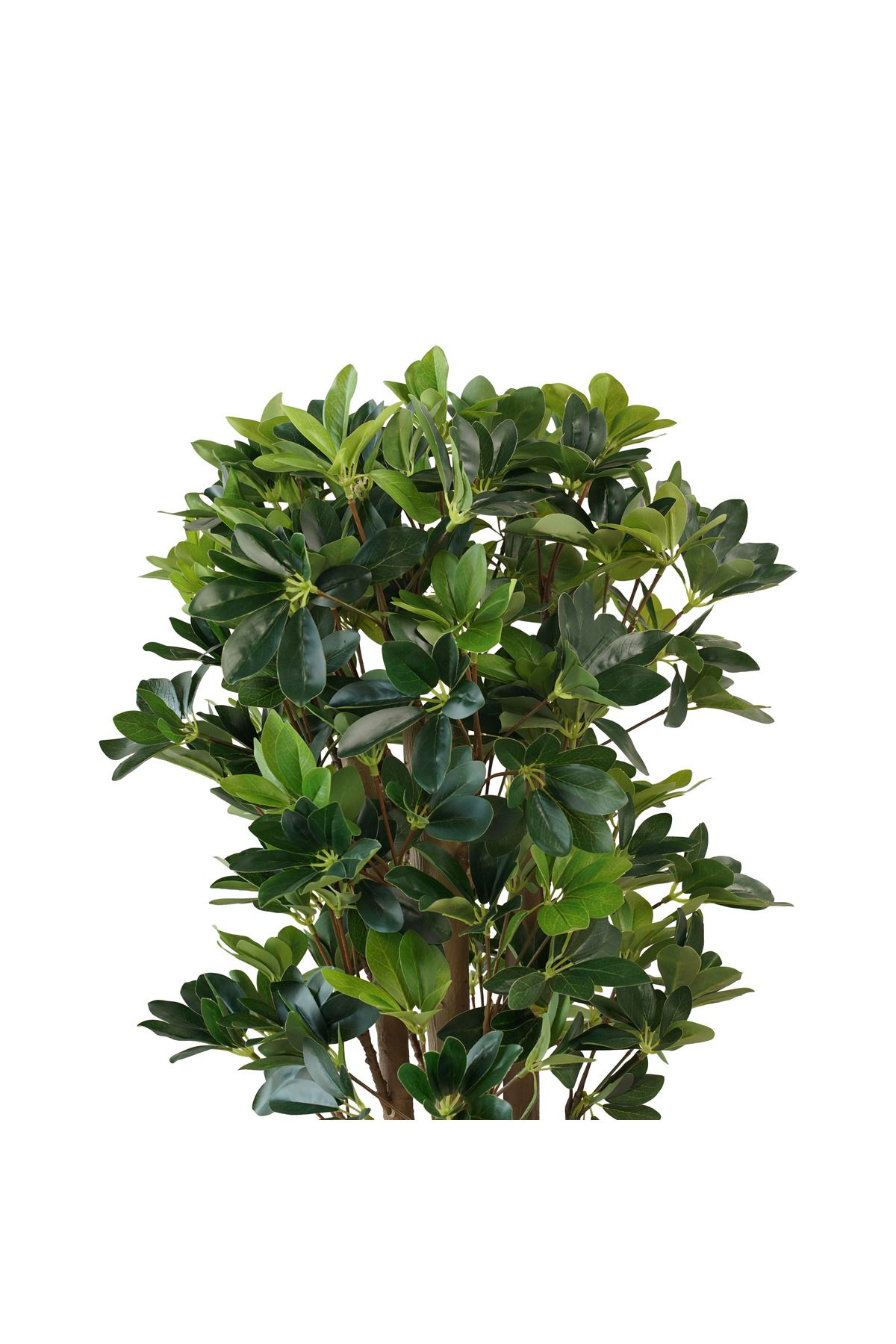 Generic-1 meter artificial green maple tree 2