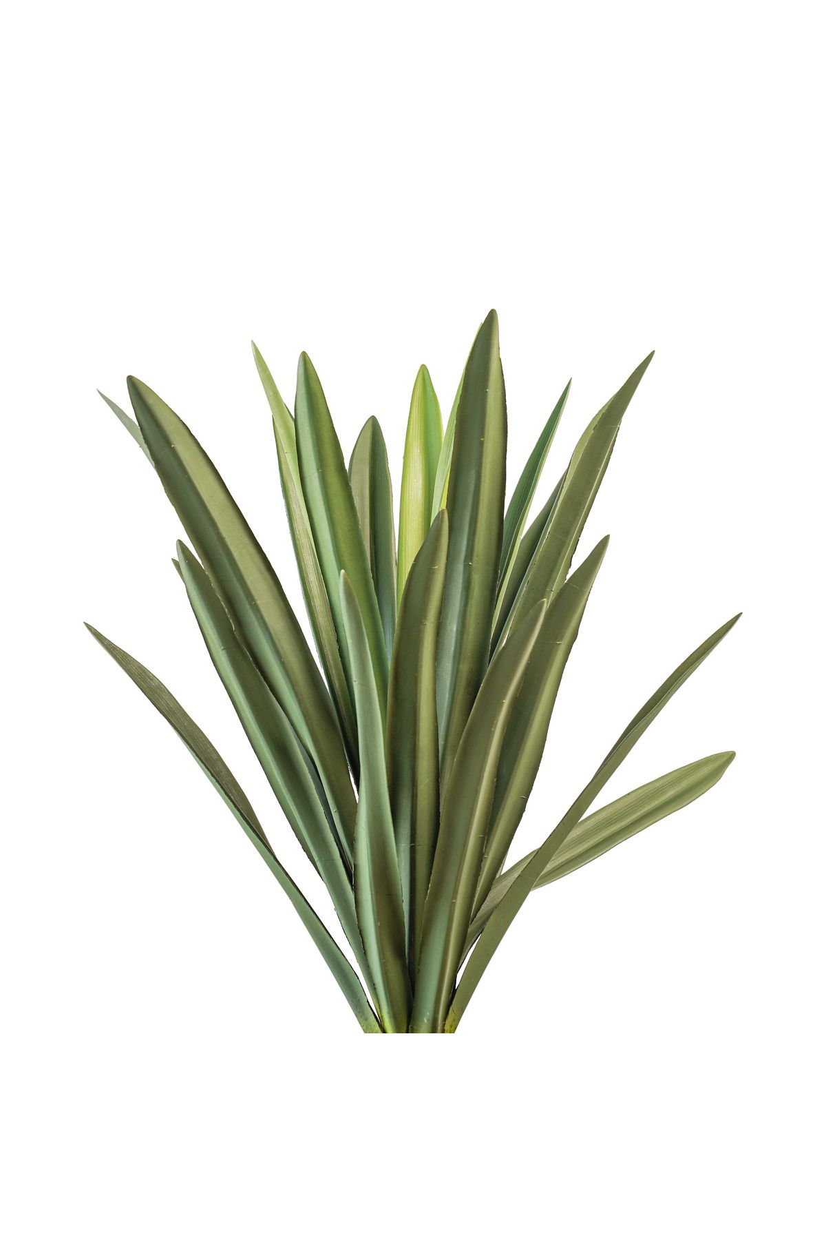Generic-80cm artificial cactus tree 2