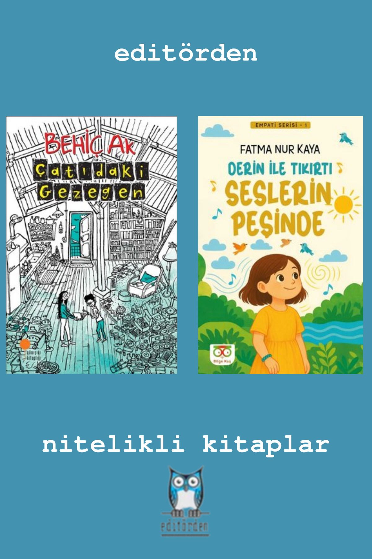 Bilge Kuş Yayınları Çatıdaki Gezegen – Derin İle Tıkırtı Seslerin Peşinde