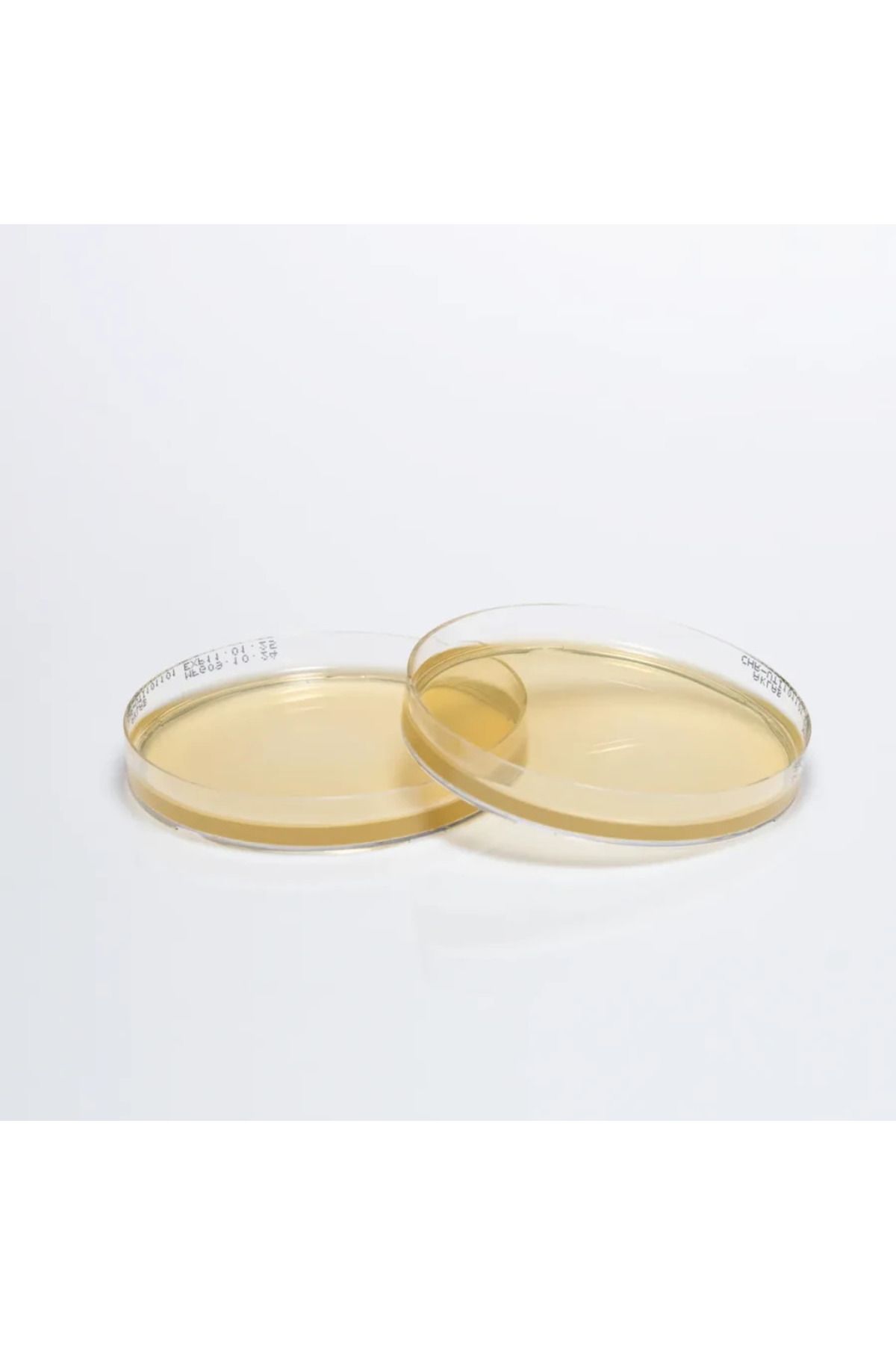 medexia HAZIR CHROMOGENIC CAMPYLOBACTER BESİYERİ