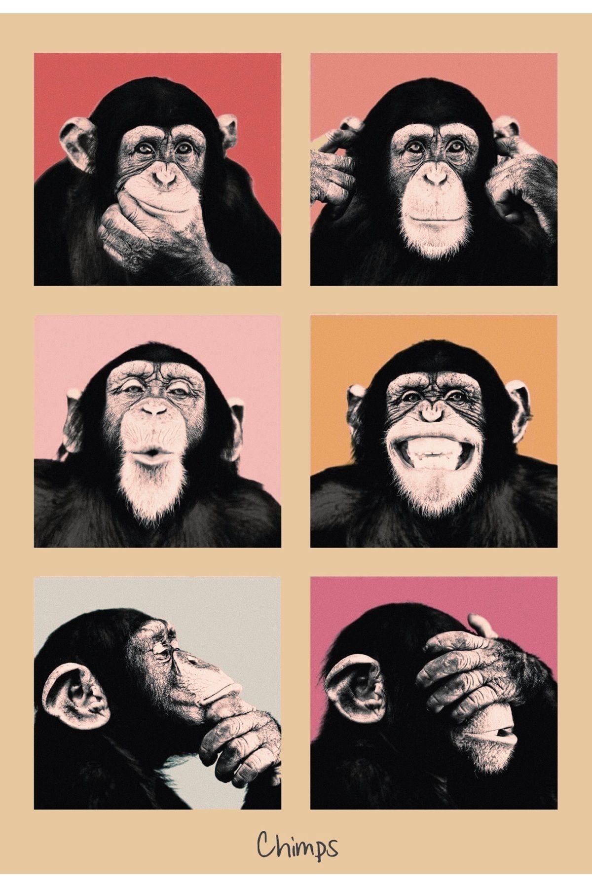 512 STORE Six Monkeys Estetik Duvar Dekor Modern Çerçevesiz Tablo Poster