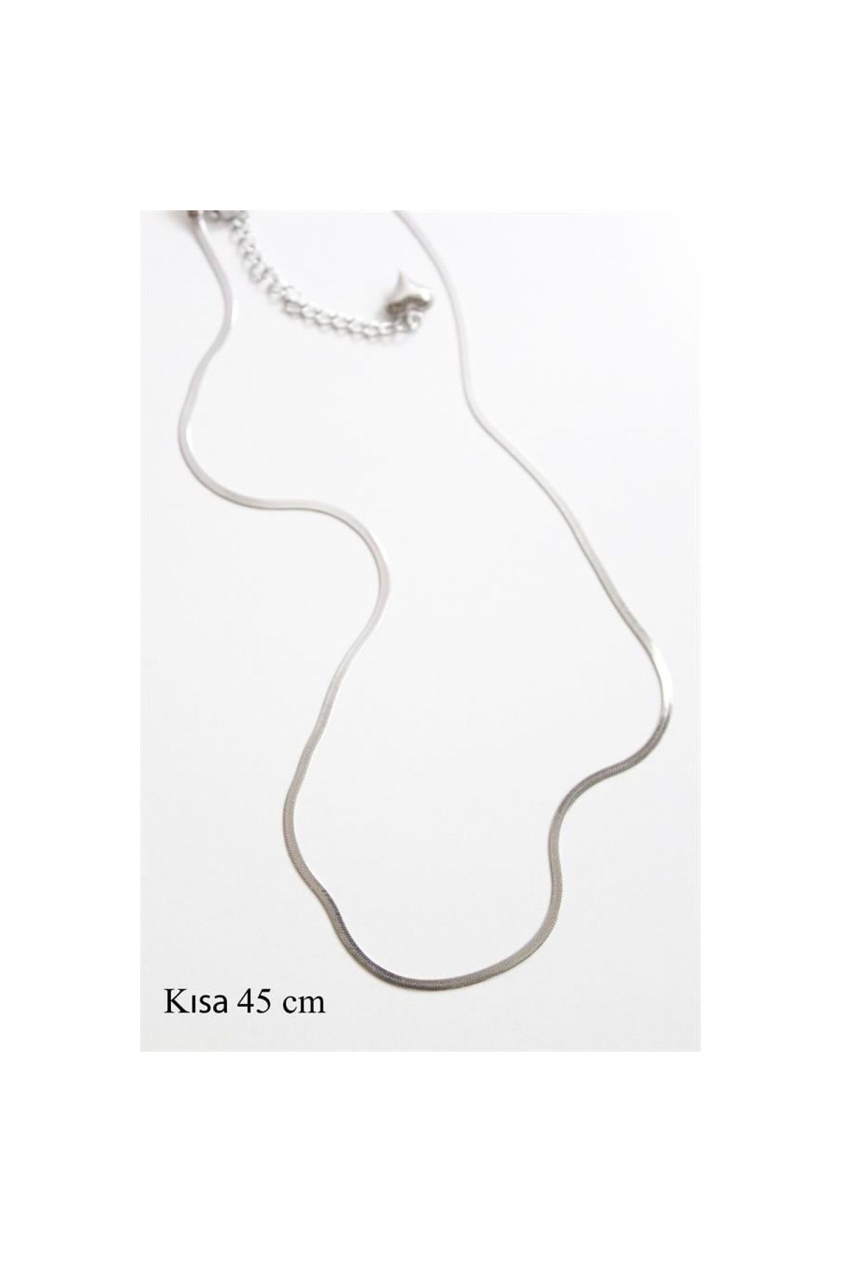 maarketim İnce İtalyan Zincir Çelik Kolye (45cm) - Gümüş