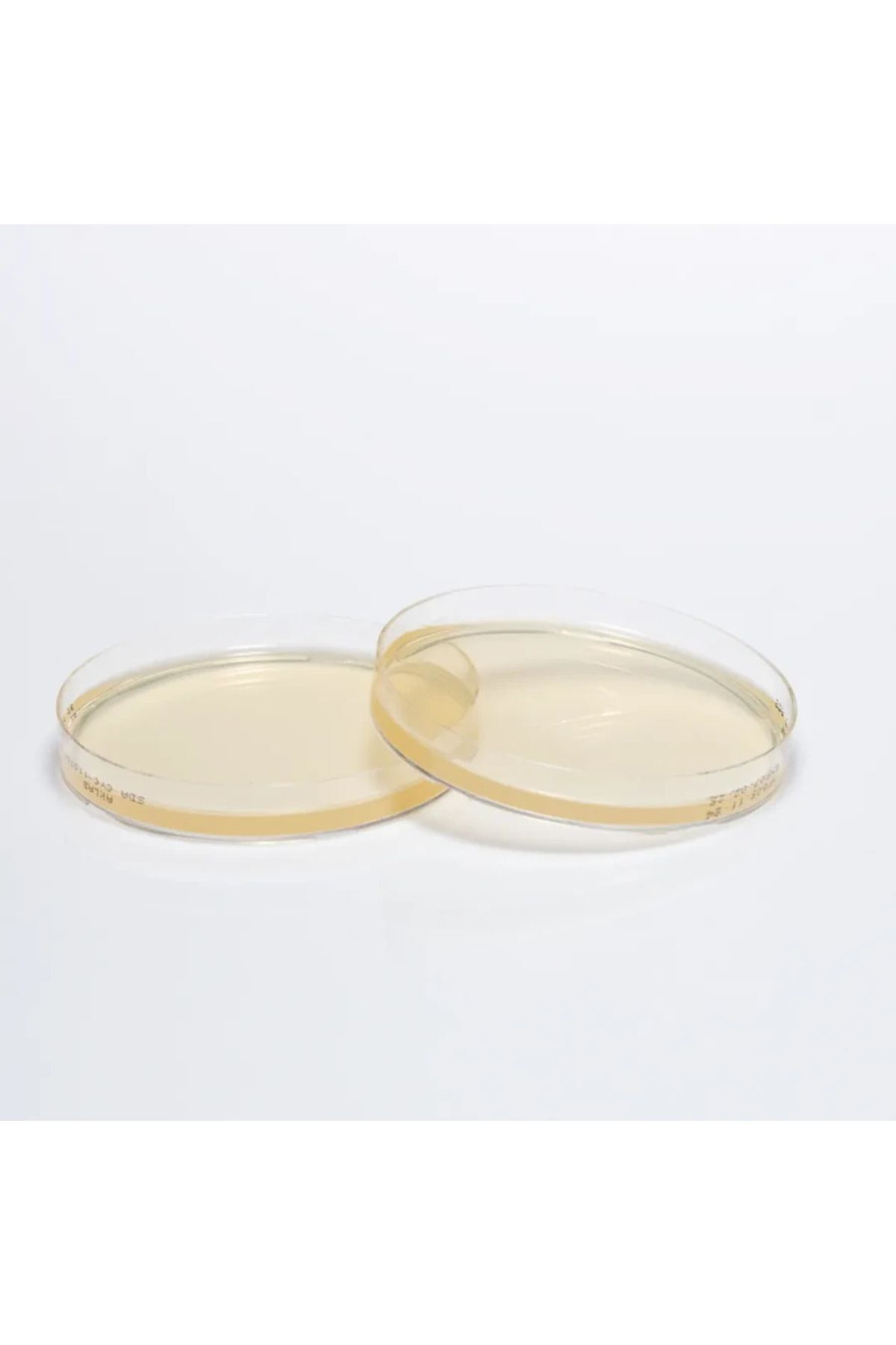 medexia HAZIR SABOURAUD DEXTROSE + CYCLOHEXİMİDE BESİYERİ