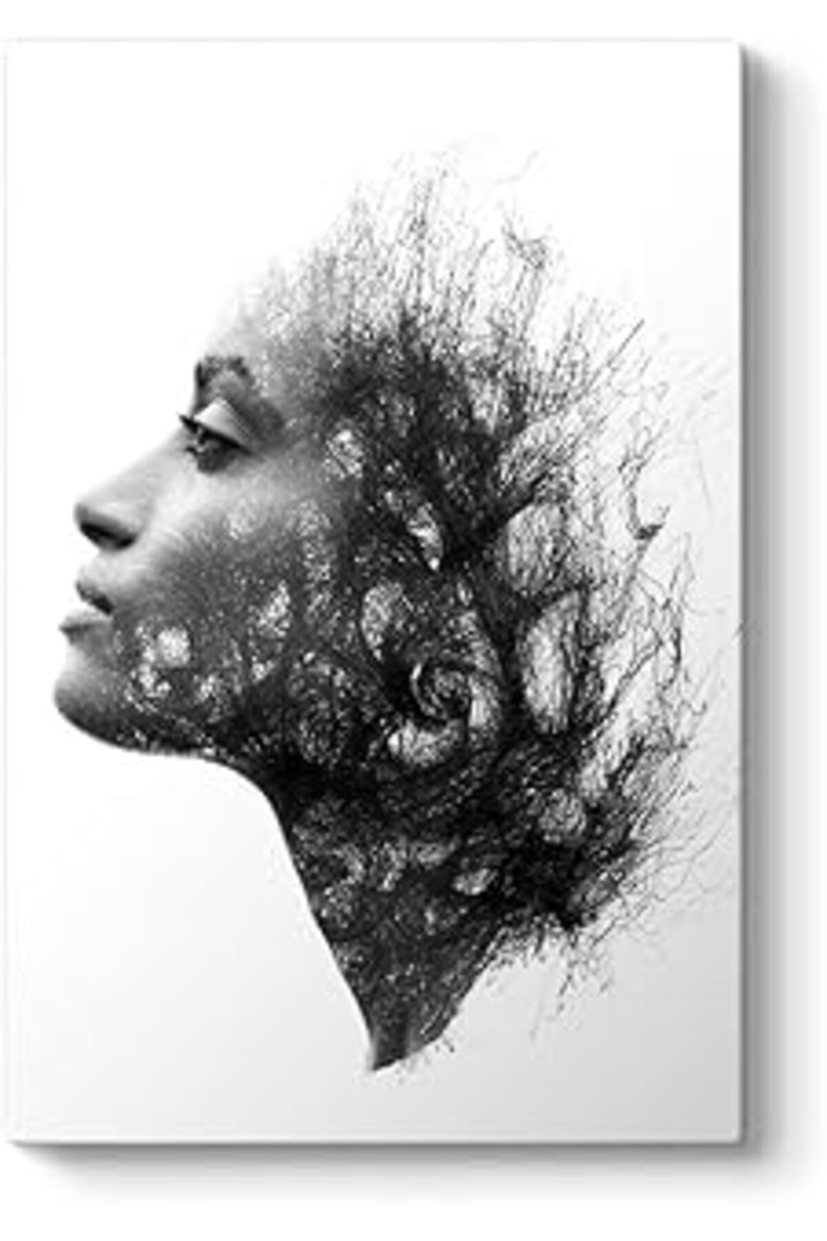 NETWORK ART Tabloshop Histeri Siyah Beyaz Tablo 80 X 125
