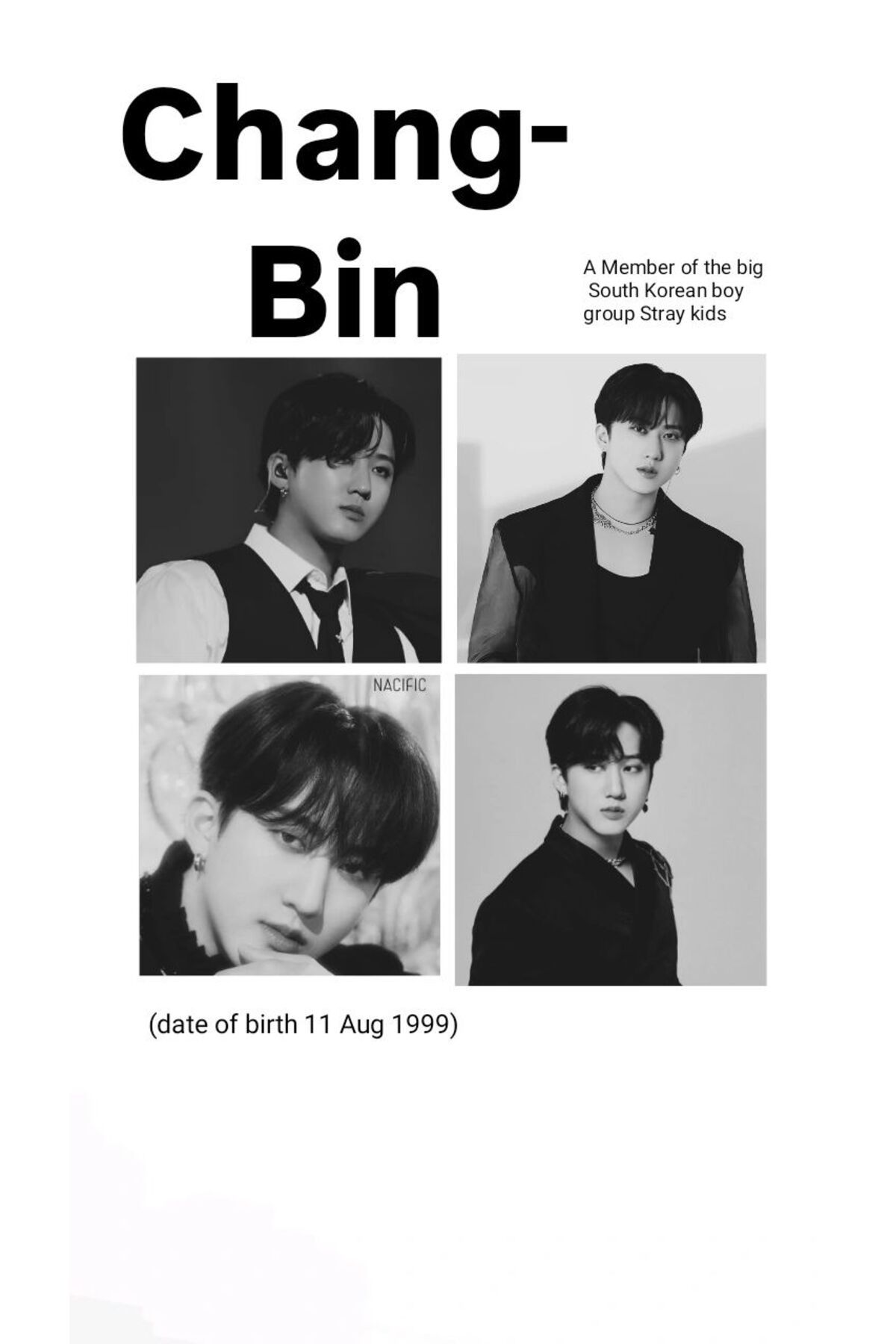 512 STORE Stray Kids Bts K-Pop Tanıtım Chang-Bin, Han, Lee, Hwang, Seung,Jeongin, Lee Know Çerçevesiz Poster