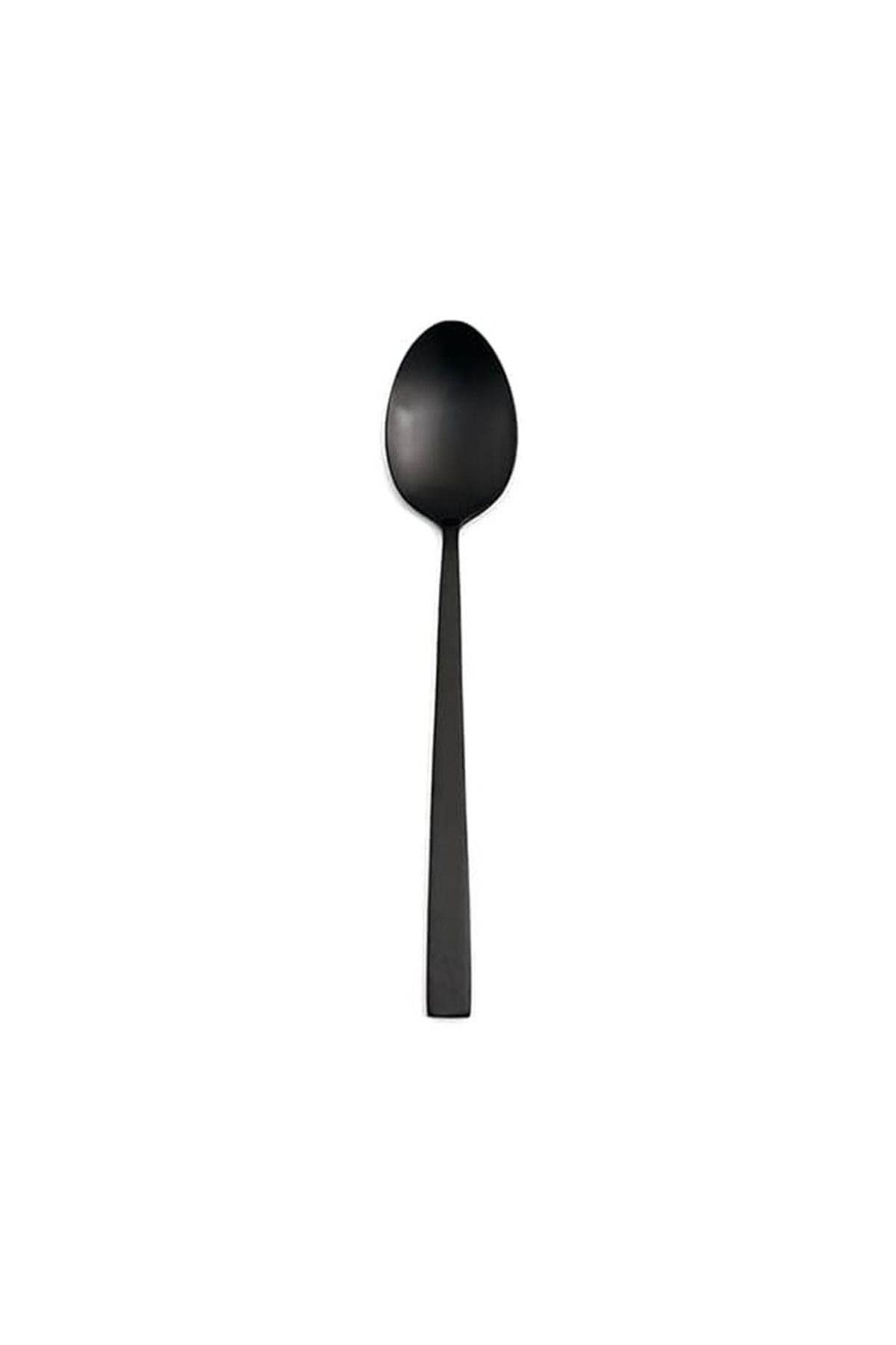 ASTERA Porland Mat Siyah Yemek Kaşığı 20cm 6 adet