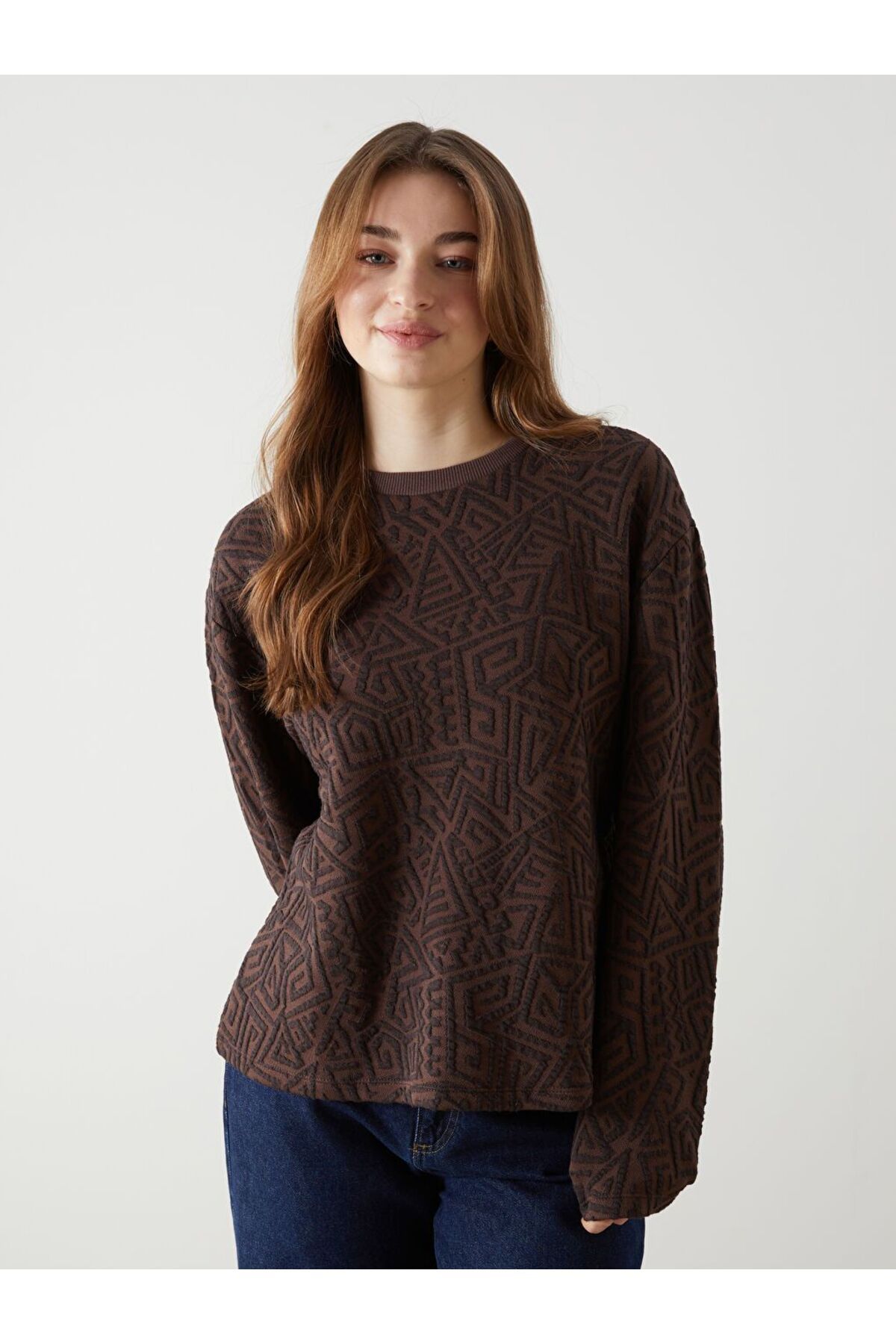 LC Waikiki Kahverengi Bisiklet Yaka Kendinden Desenli Kadın Sweatshirt