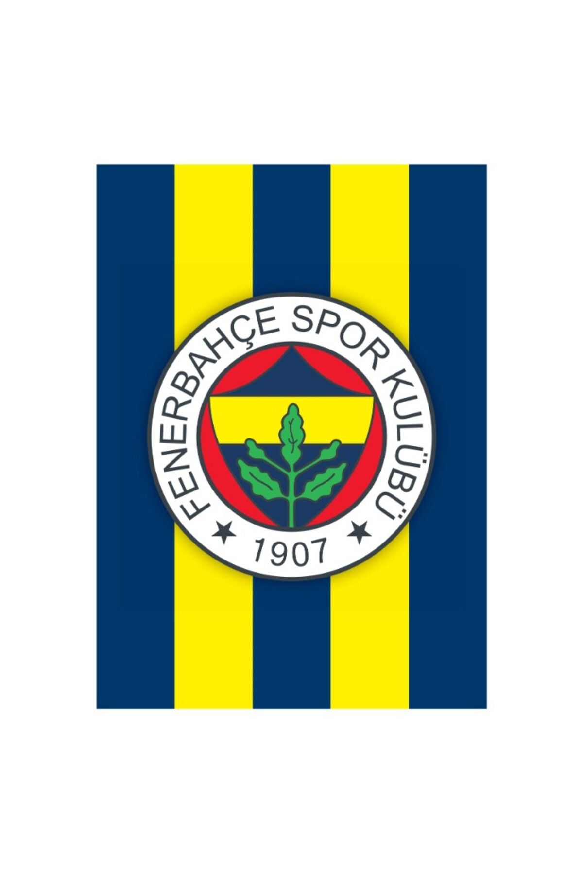 KOLİ KOLAY Fenerbahçe Taraftar Tablosu