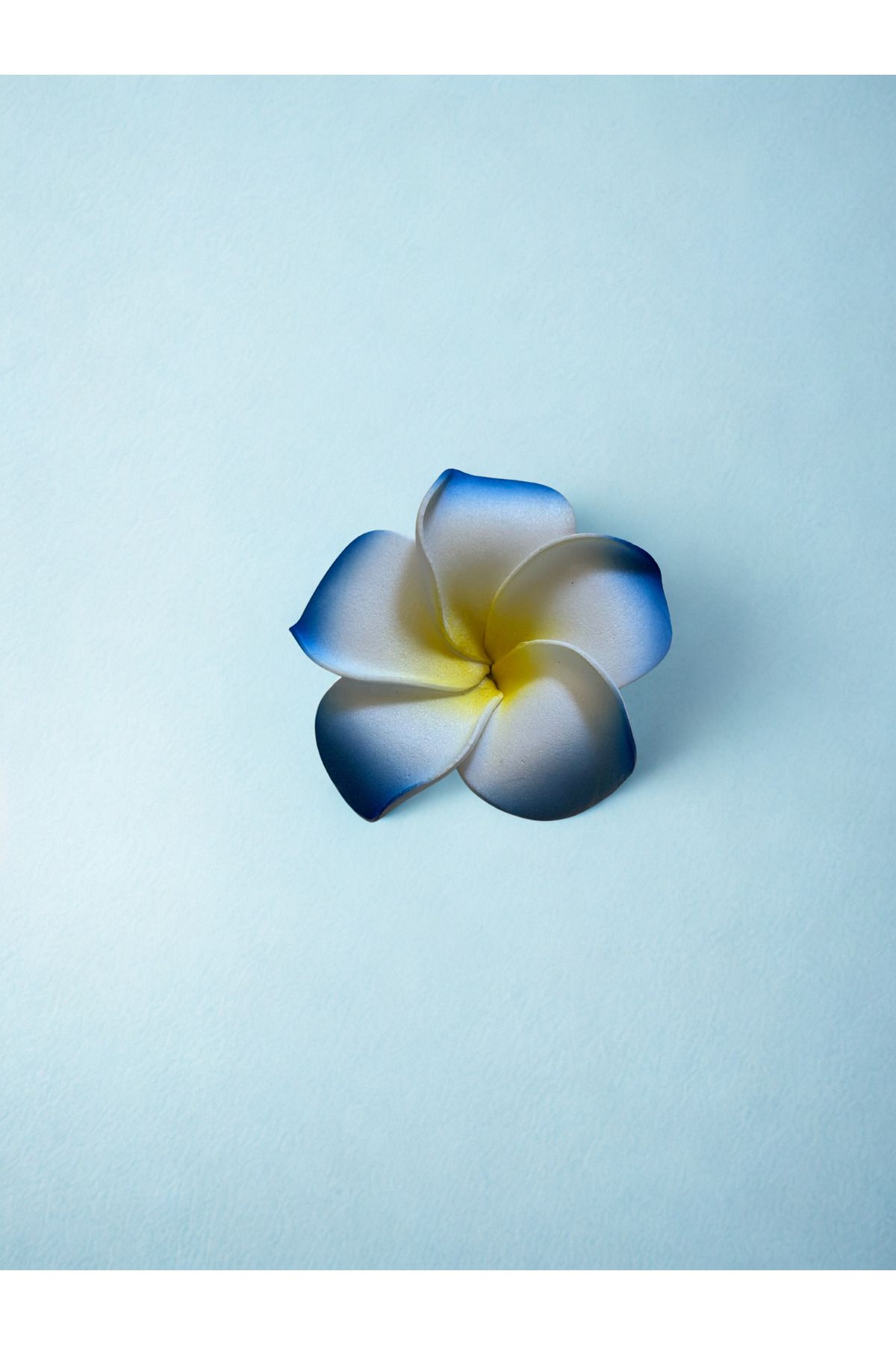 Plantarrium Design Hawaii Plumeria Çiçeği Kıstırmalı Köpük Toka 5,5cm