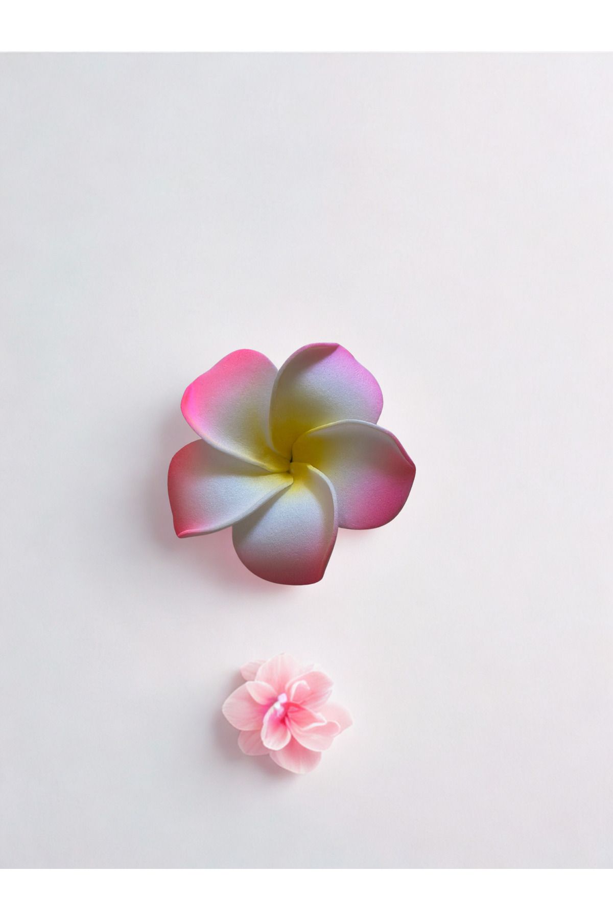 Plantarrium Design Hawaii Plumeria Çiçeği Kıstırmalı Köpük Toka 5,5cm